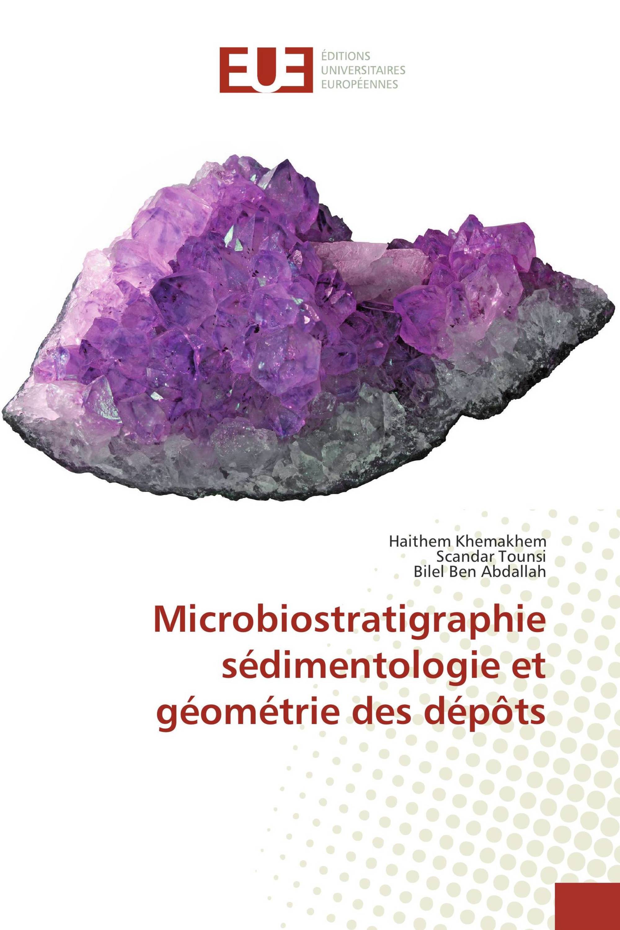 Microbiostratigraphie sédimentologie et géométrie des dépôts