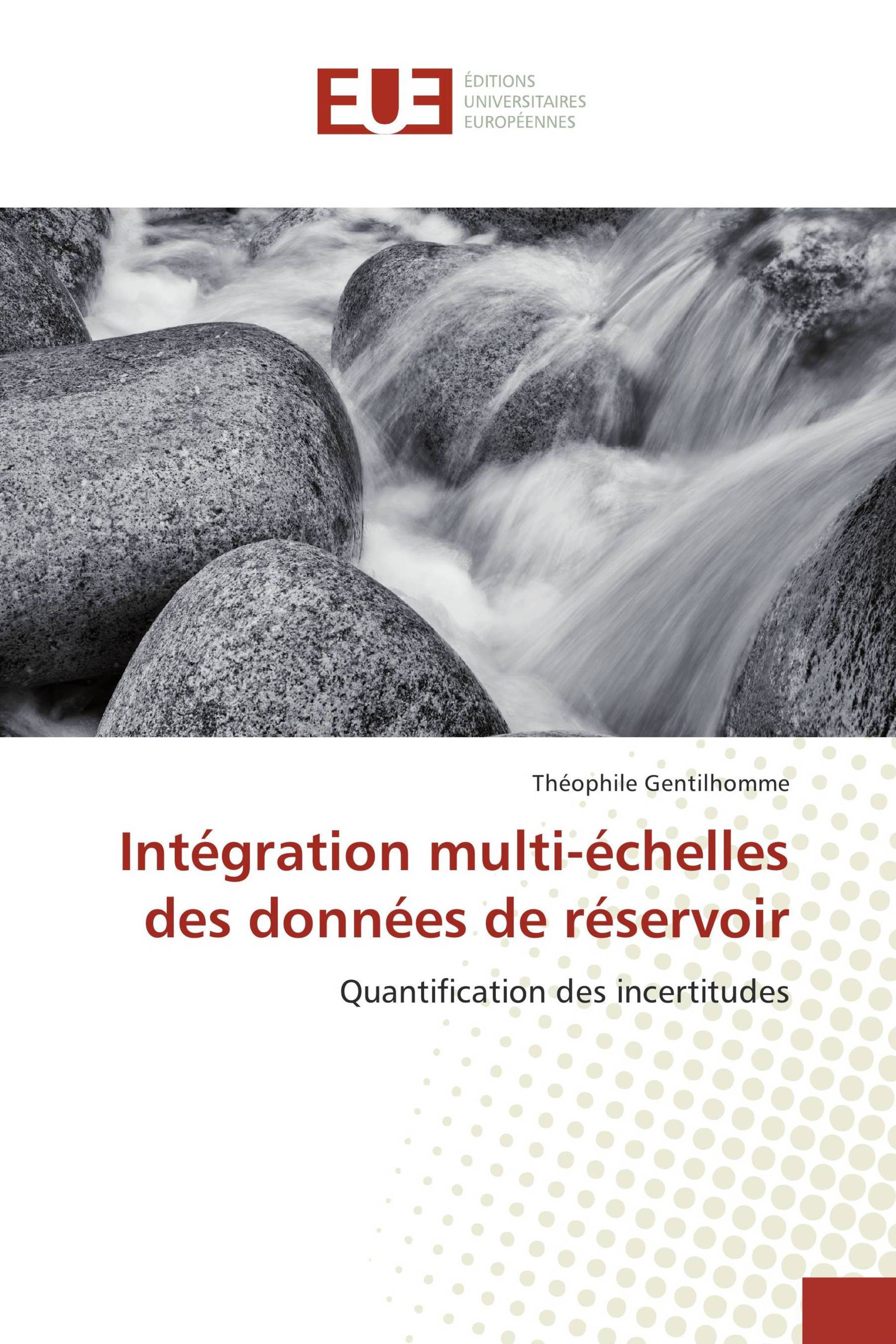 Intégration multi-échelles des données de réservoir