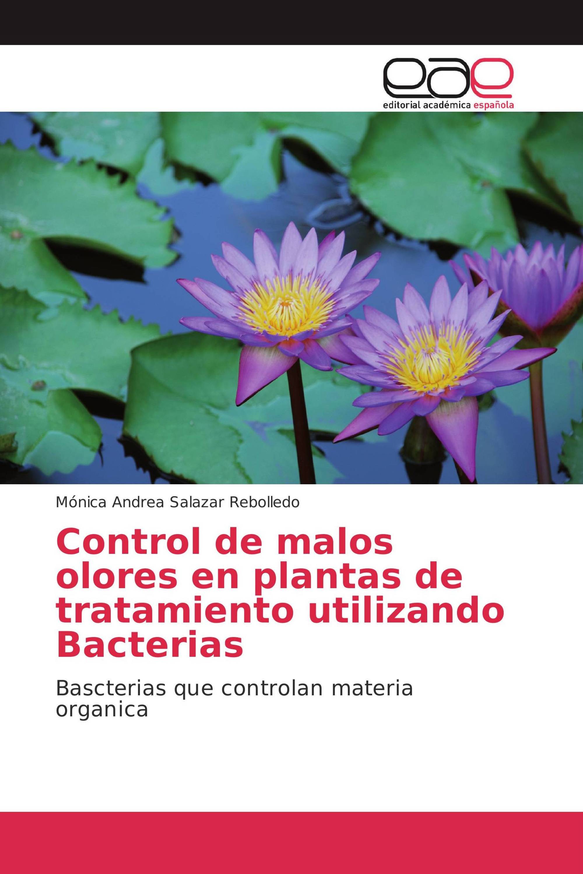 Control de malos olores en plantas de tratamiento utilizando Bacterias