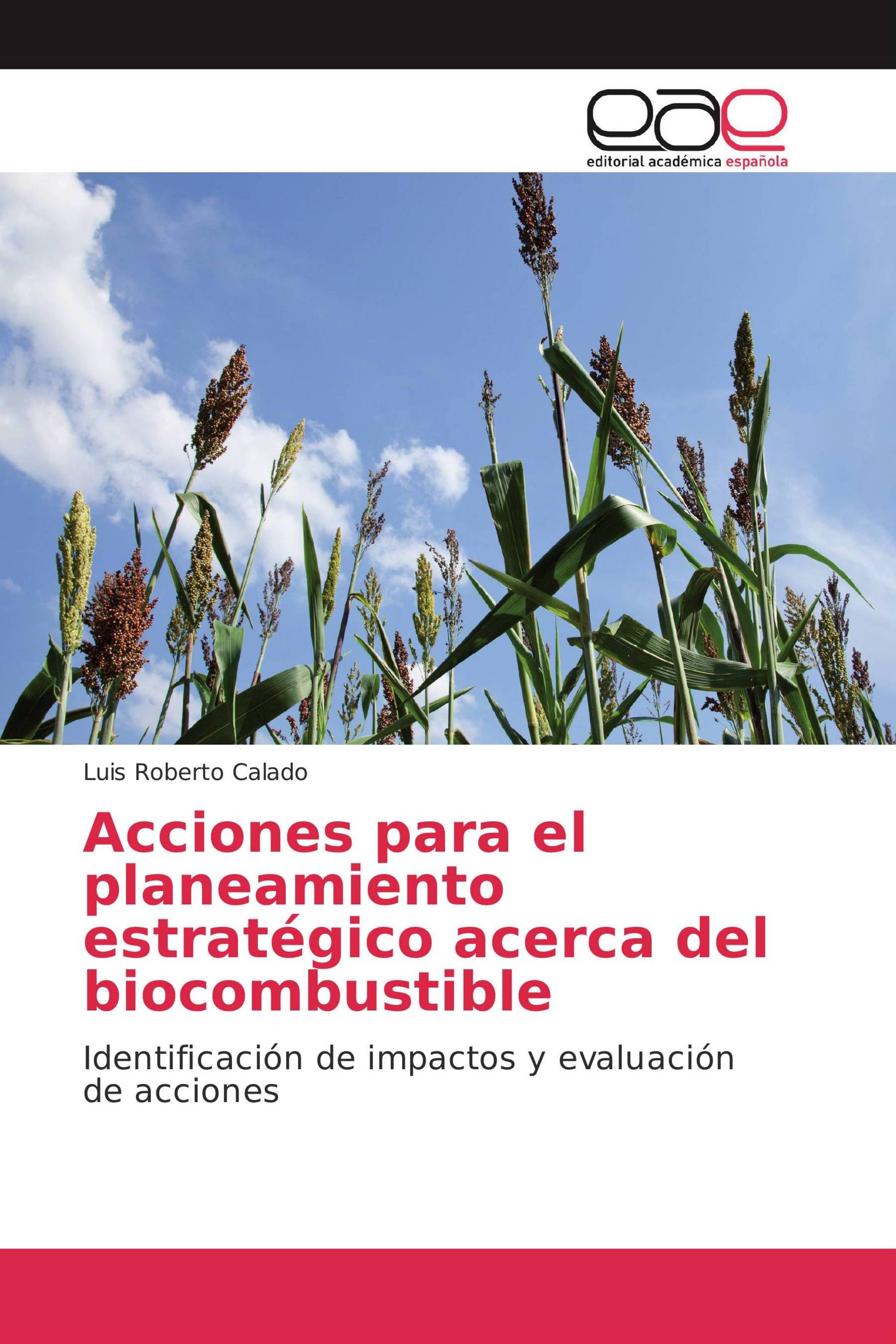 Acciones para el planeamiento estratégico acerca del biocombustible