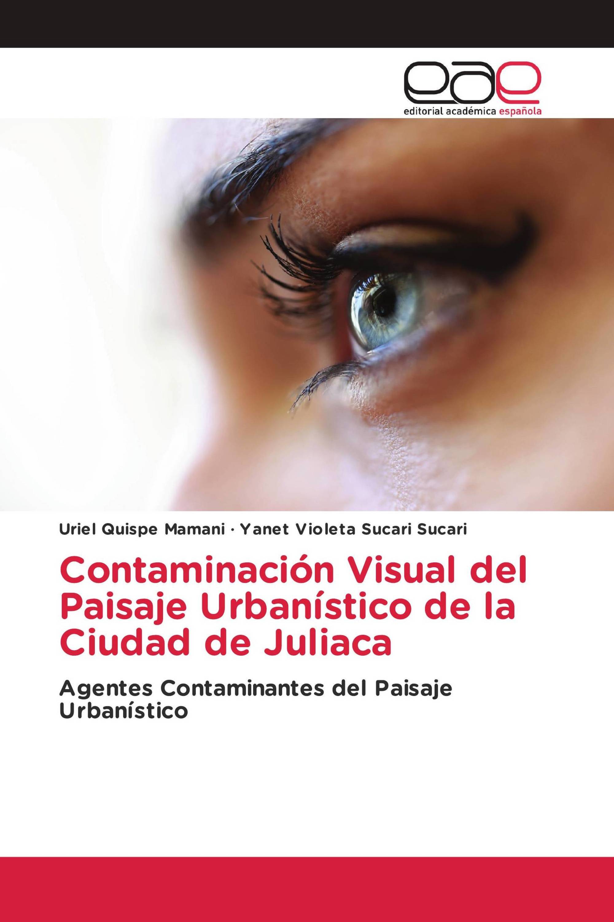 Contaminación Visual del Paisaje Urbanístico de la Ciudad de Juliaca