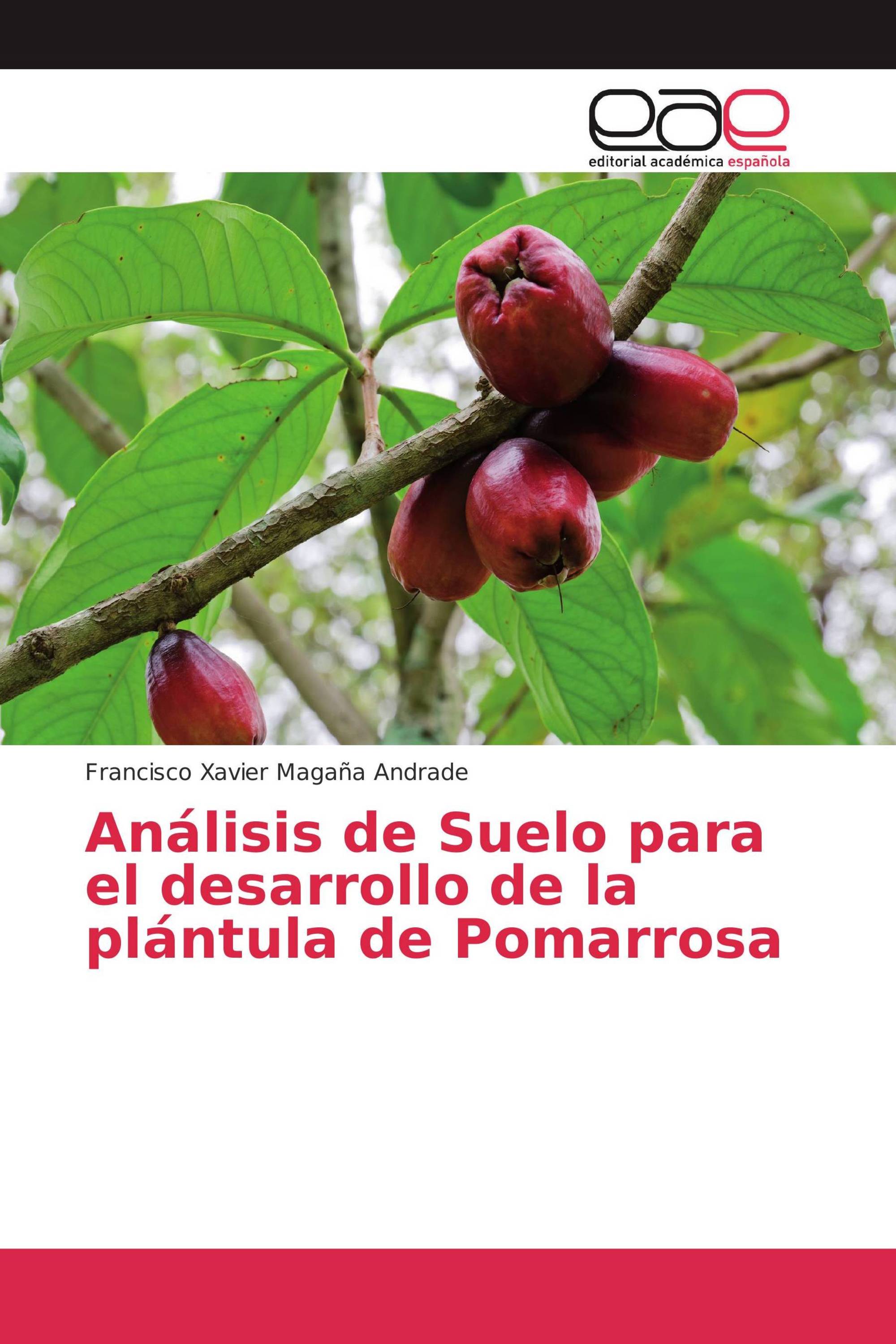 Análisis de Suelo para el desarrollo de la plántula de Pomarrosa