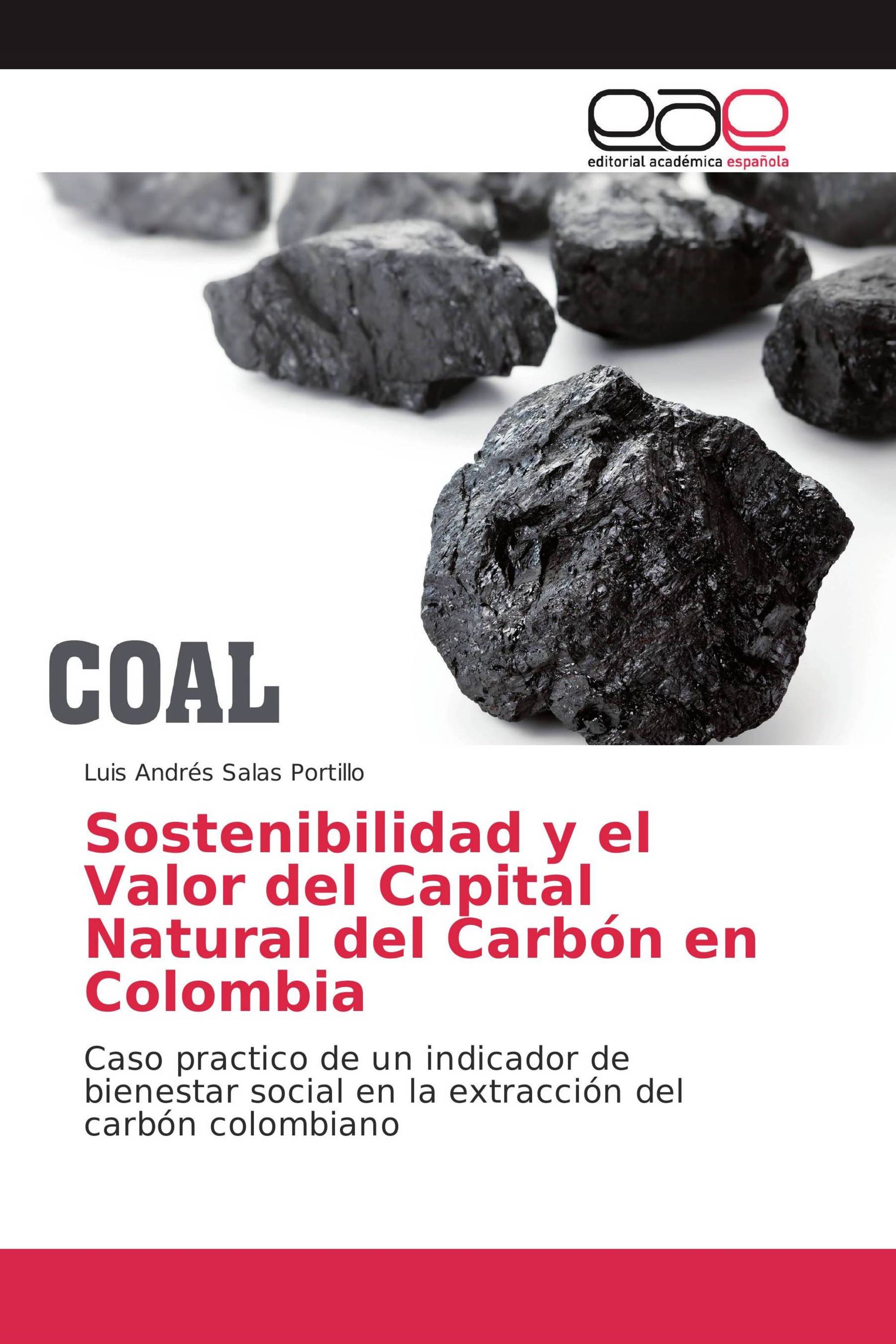 Sostenibilidad y el Valor del Capital Natural del Carbón en Colombia