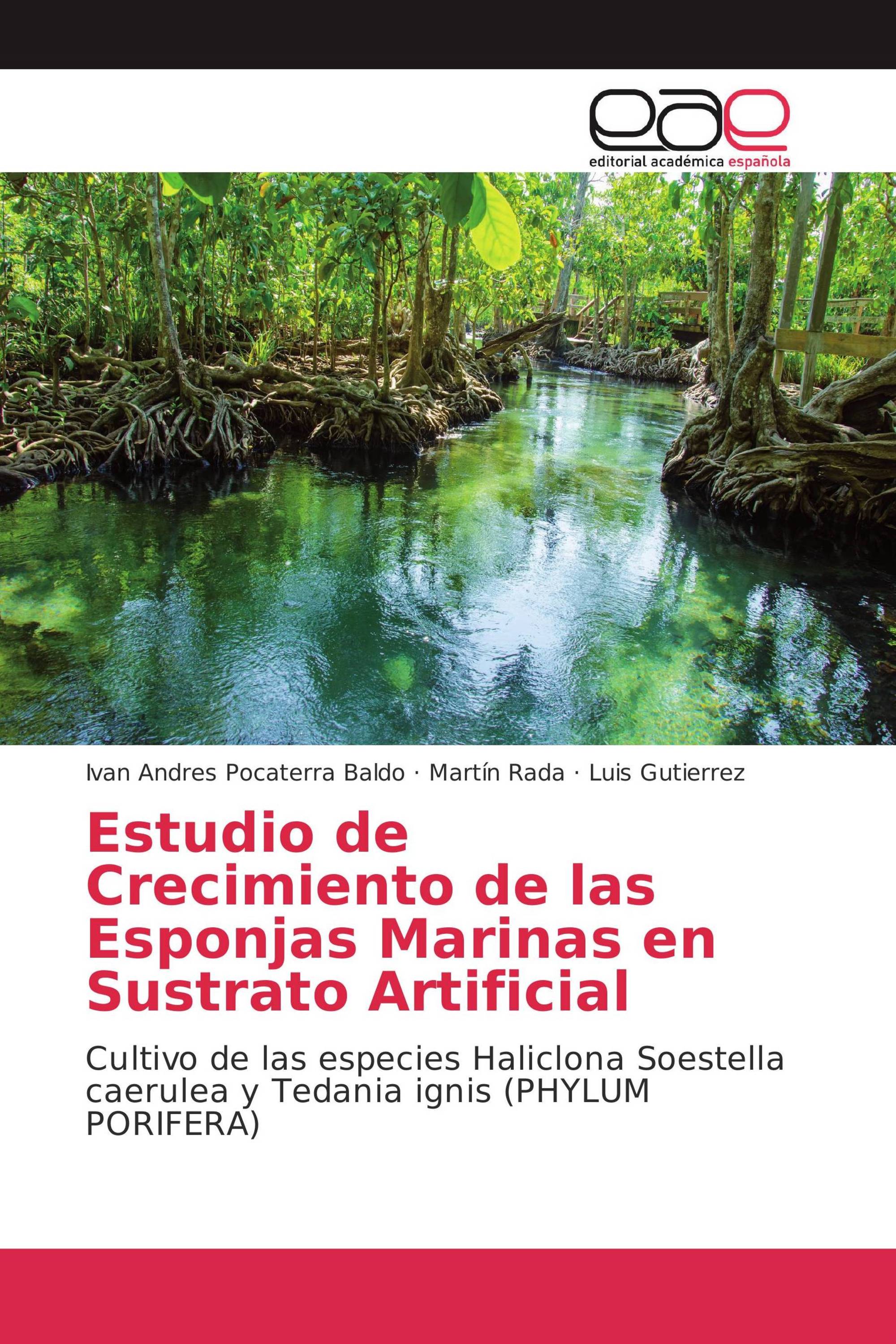 Estudio de Crecimiento de las Esponjas Marinas en Sustrato Artificial