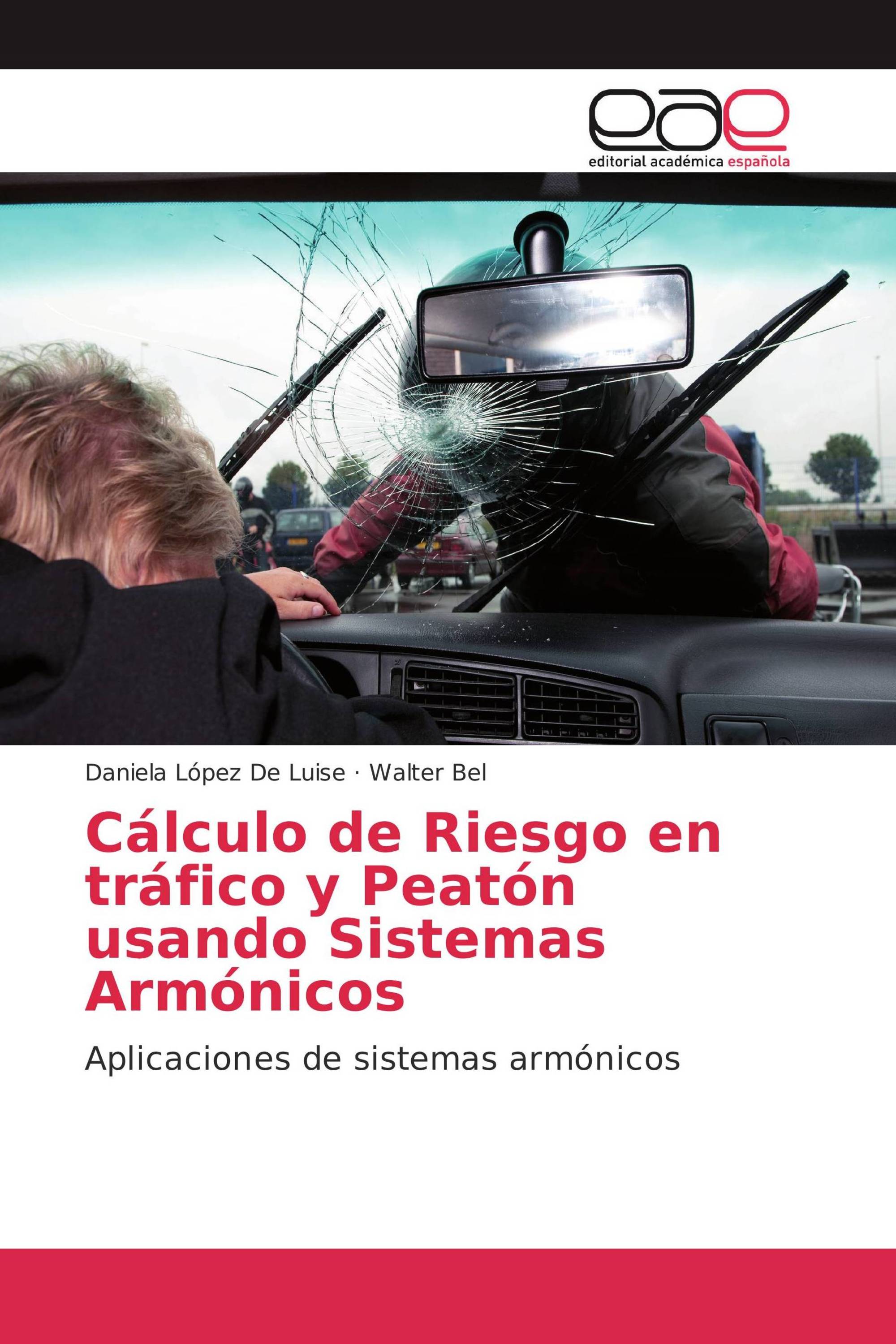 Cálculo de Riesgo en tráfico y Peatón usando Sistemas Armónicos