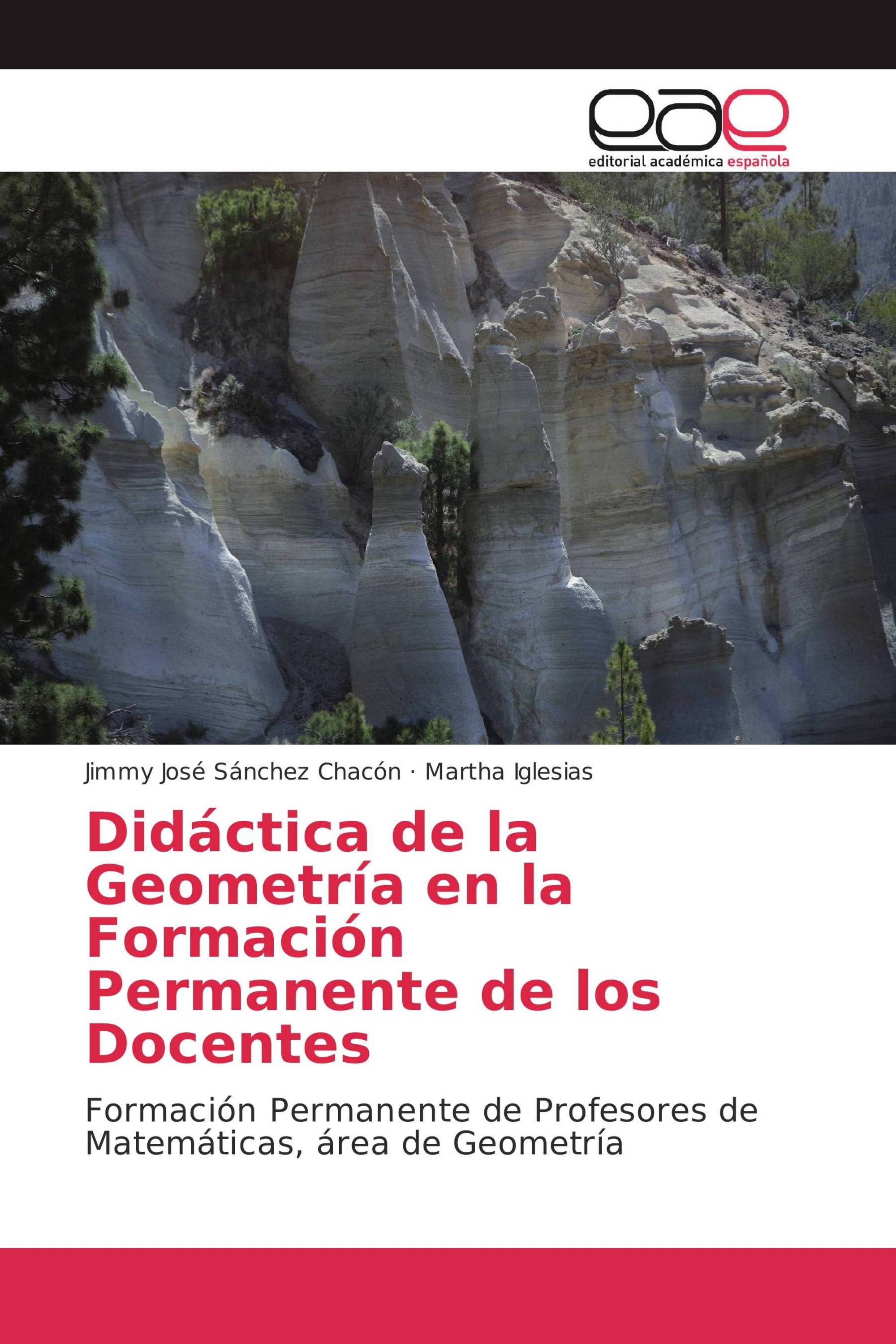 Didáctica de la Geometría en la Formación Permanente de los Docentes