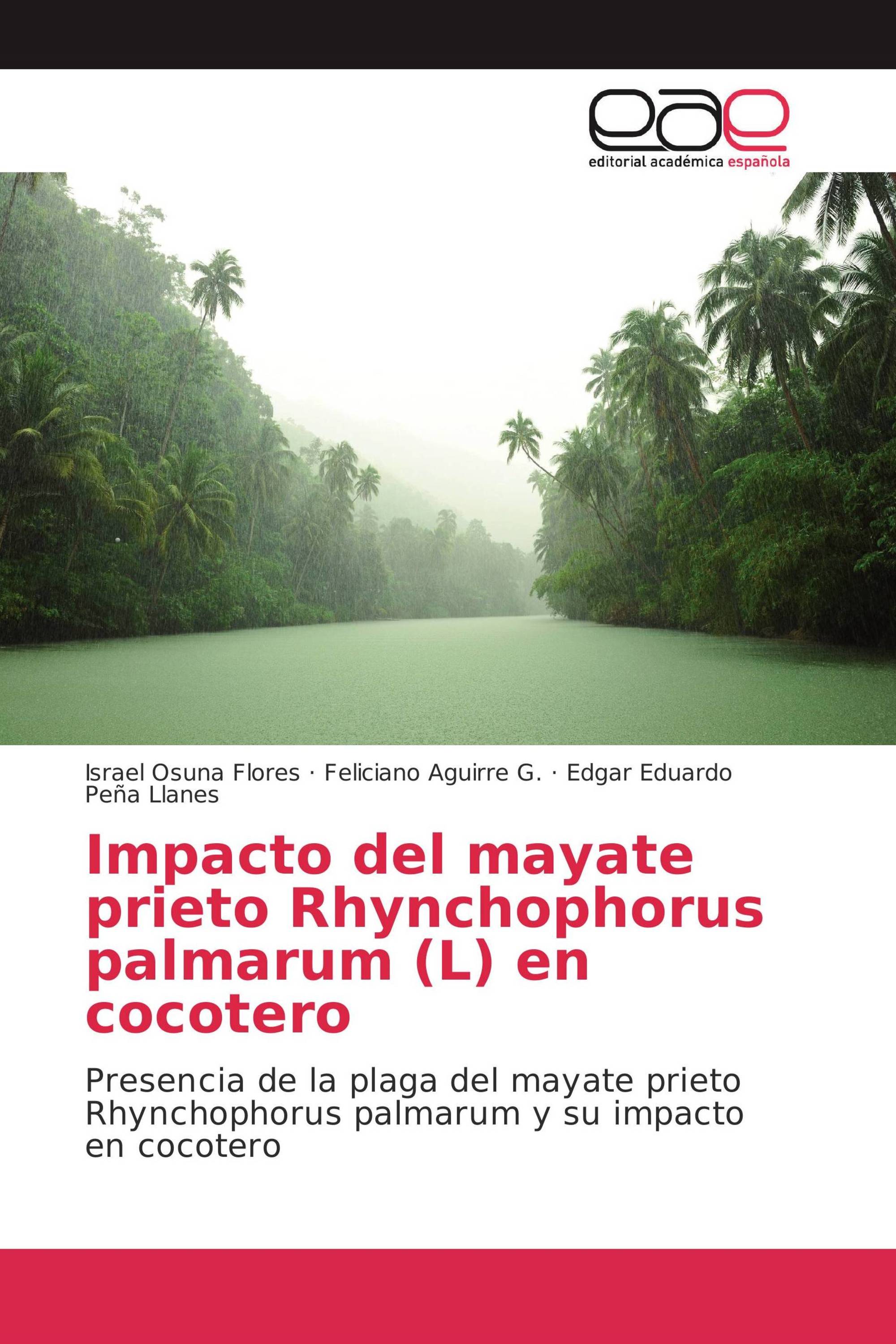 Impacto del mayate prieto Rhynchophorus palmarum (L) en cocotero