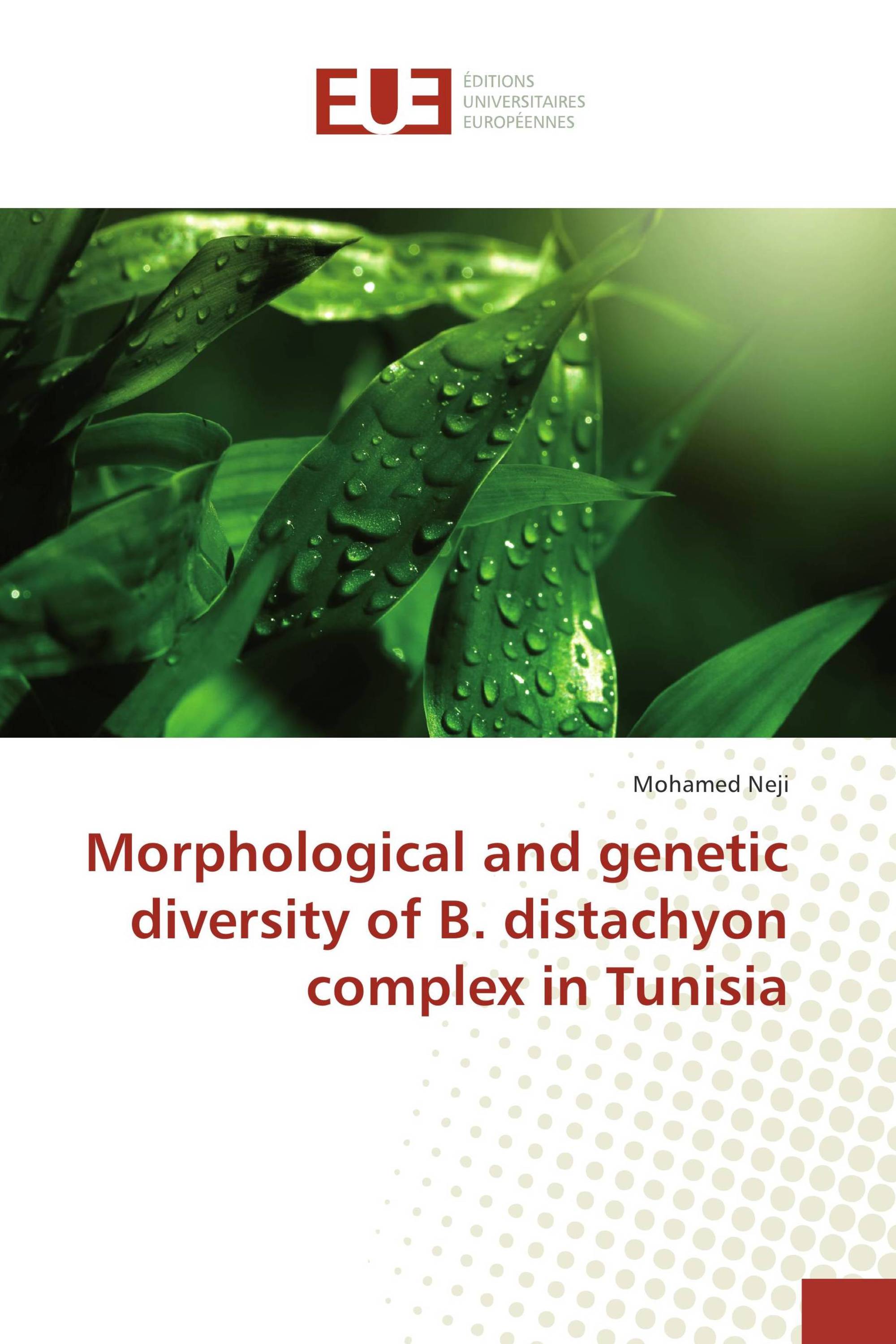 Morphological and genetic diversity of B. distachyon complex in Tunisia