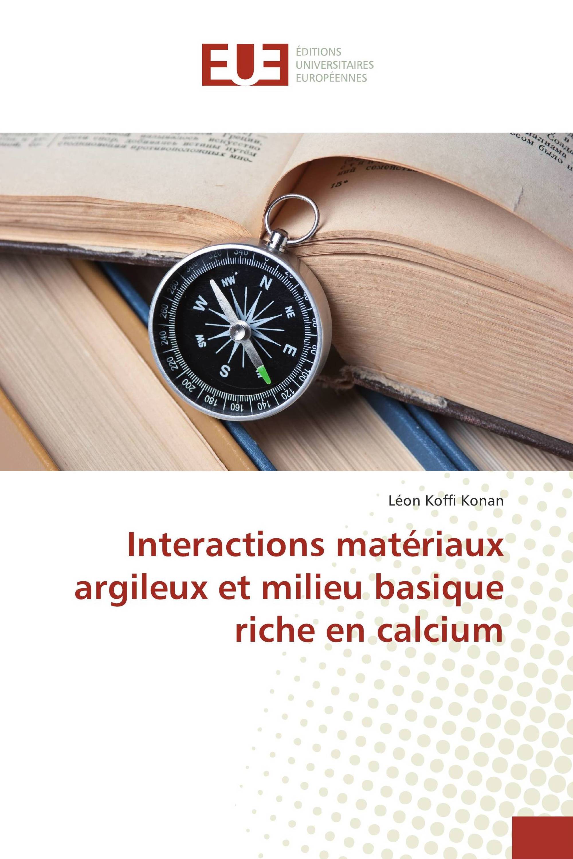 Interactions matériaux argileux et milieu basique riche en calcium