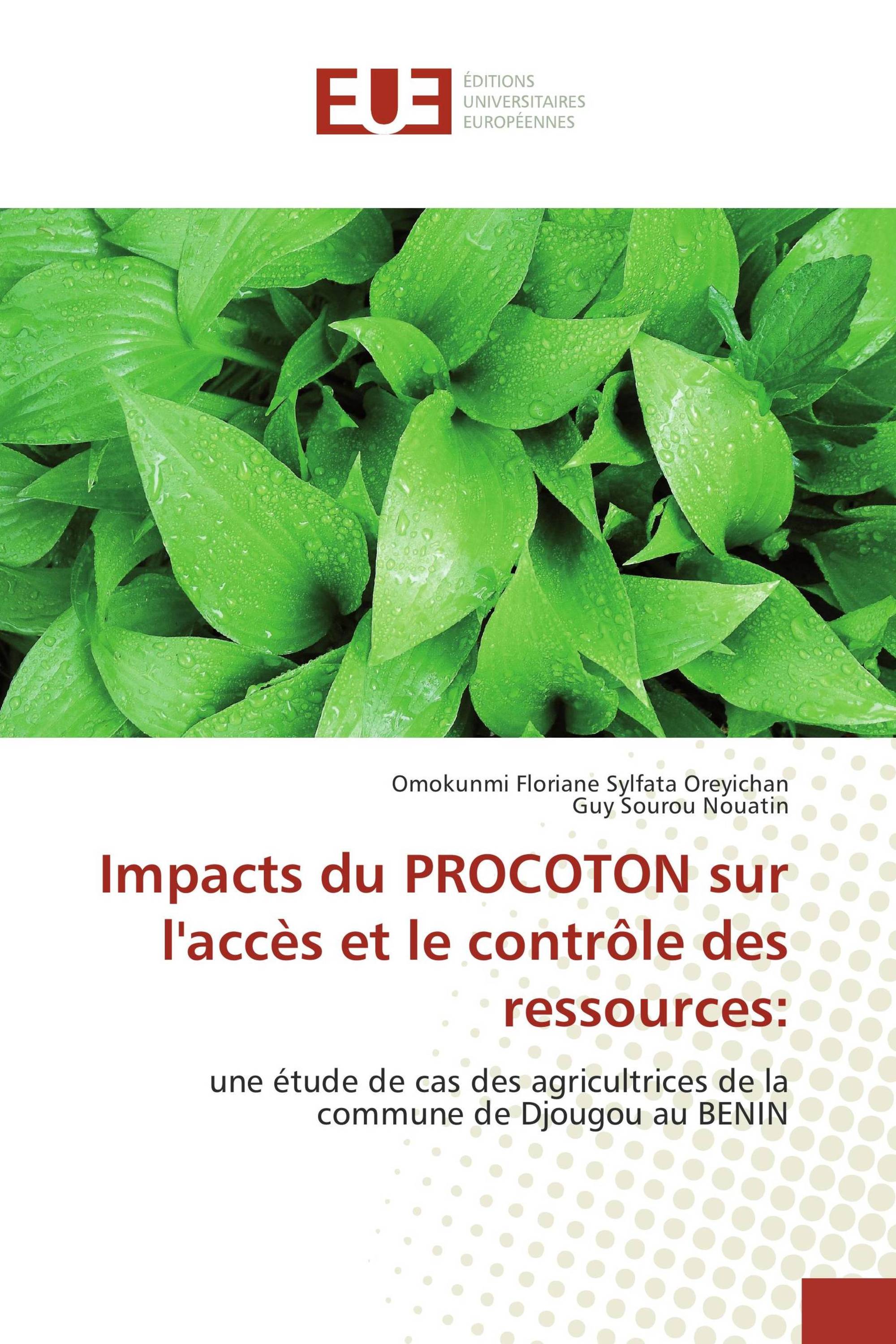 Impacts du PROCOTON sur l'accès et le contrôle des ressources: