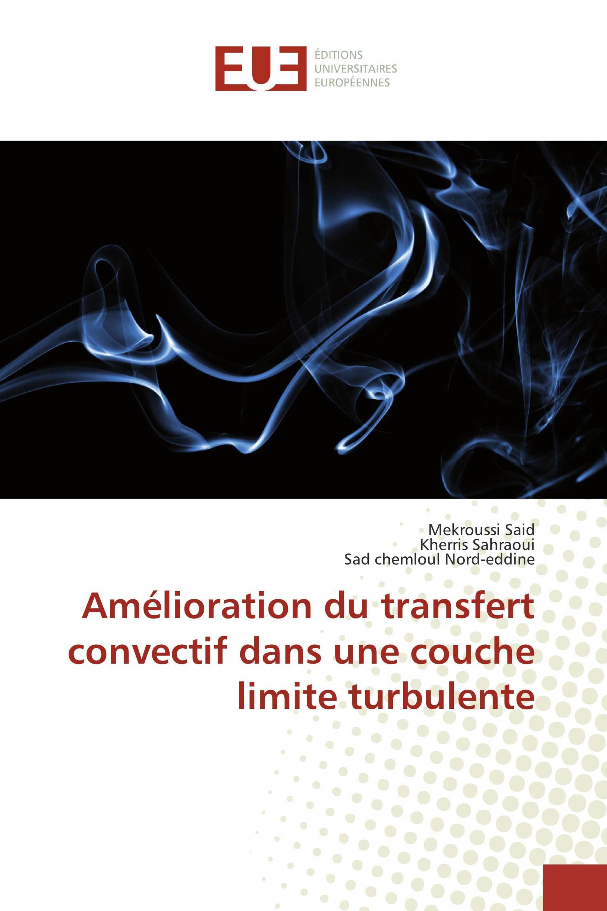 Amélioration du transfert convectif dans une couche limite turbulente