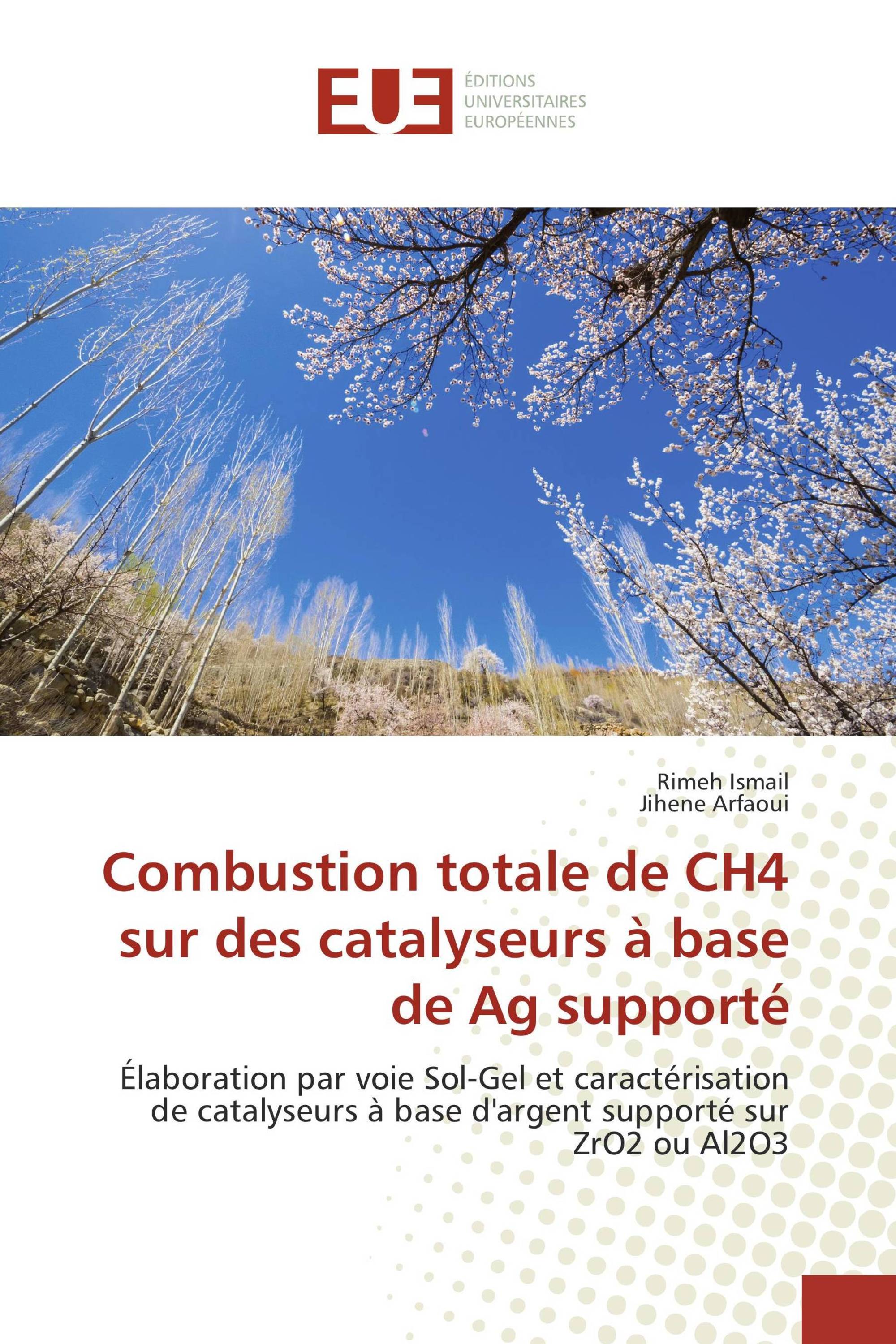 Combustion totale de CH4 sur des catalyseurs à base de Ag supporté