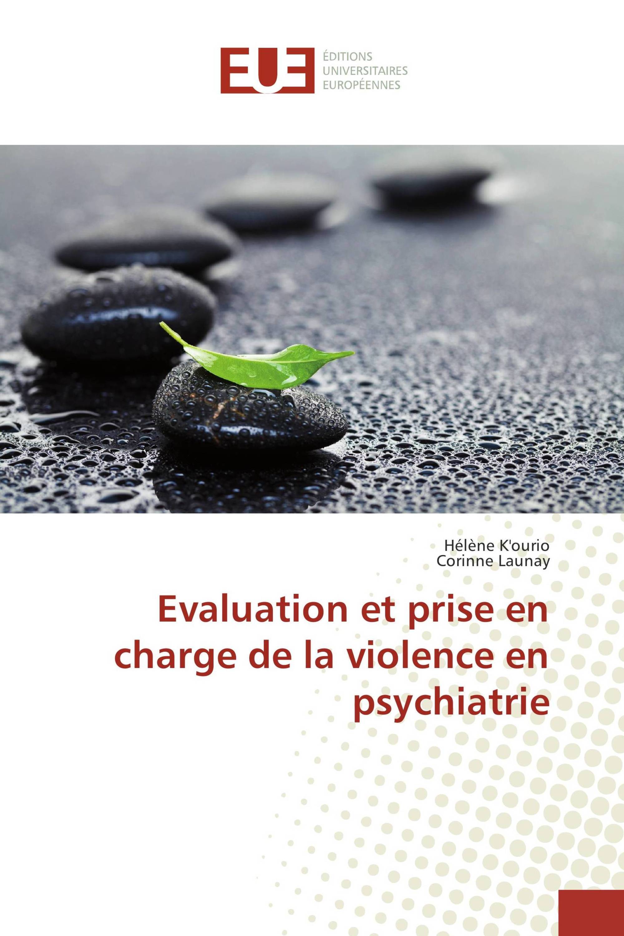 Evaluation et prise en charge de la violence en psychiatrie