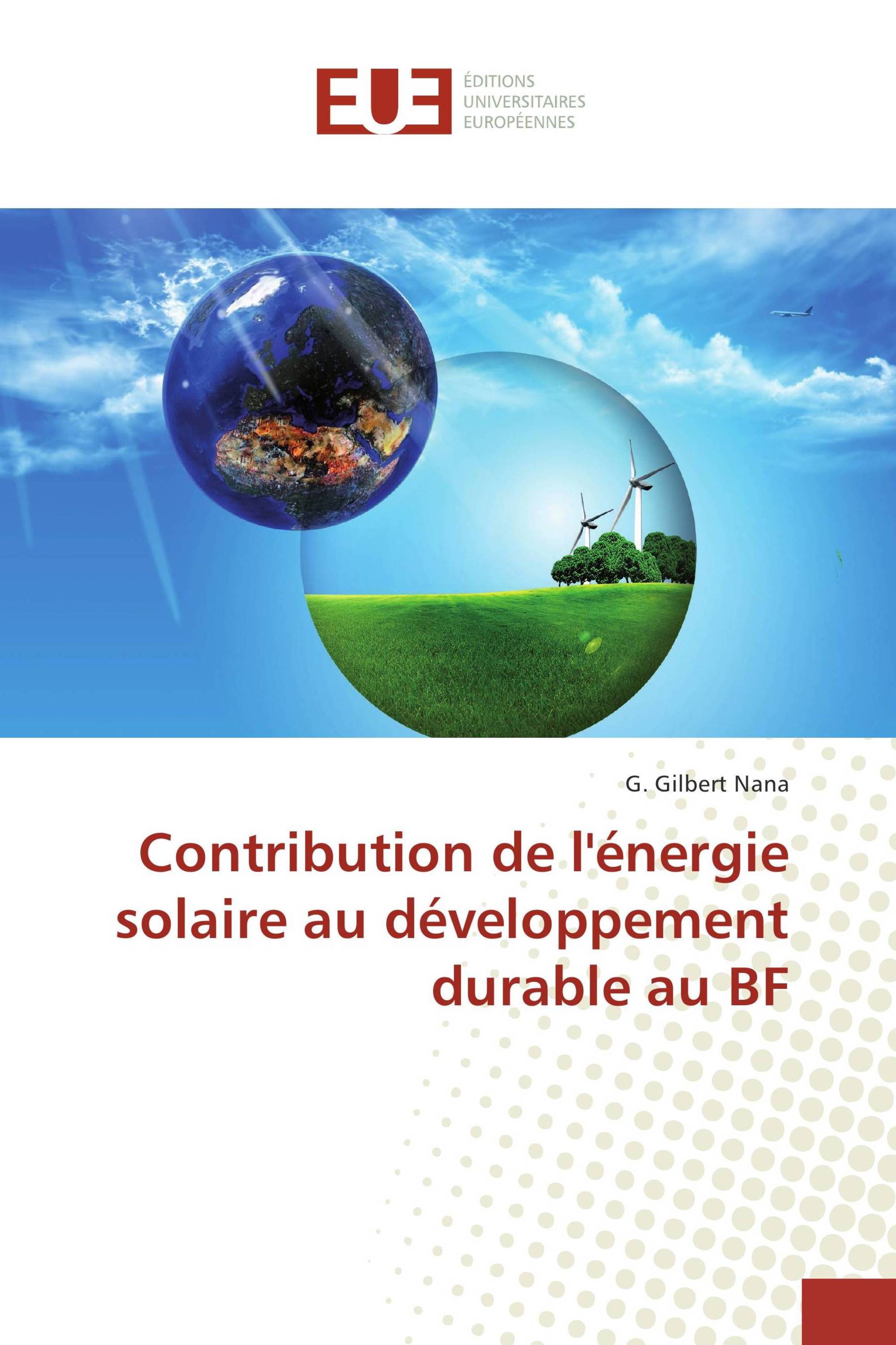 Contribution de l'énergie solaire au développement durable au BF