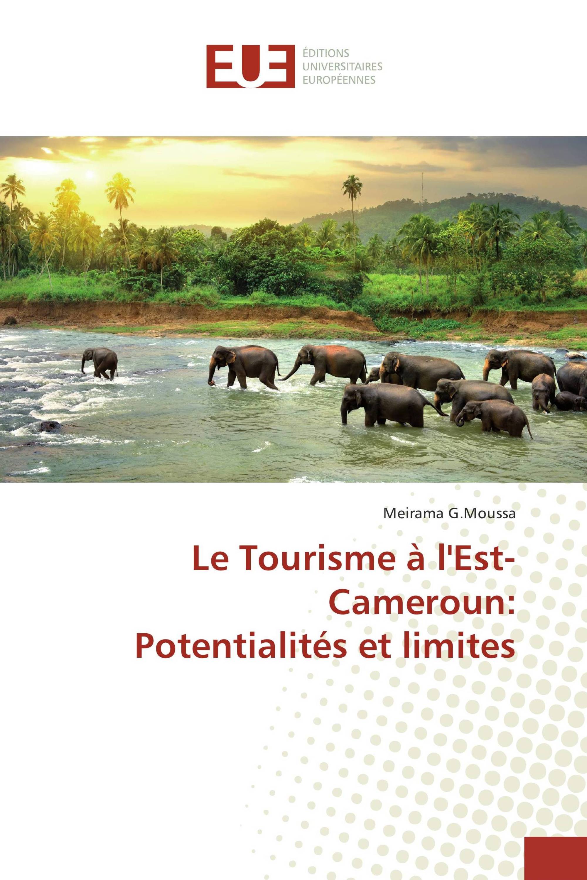 Le Tourisme à l'Est-Cameroun: Potentialités et limites