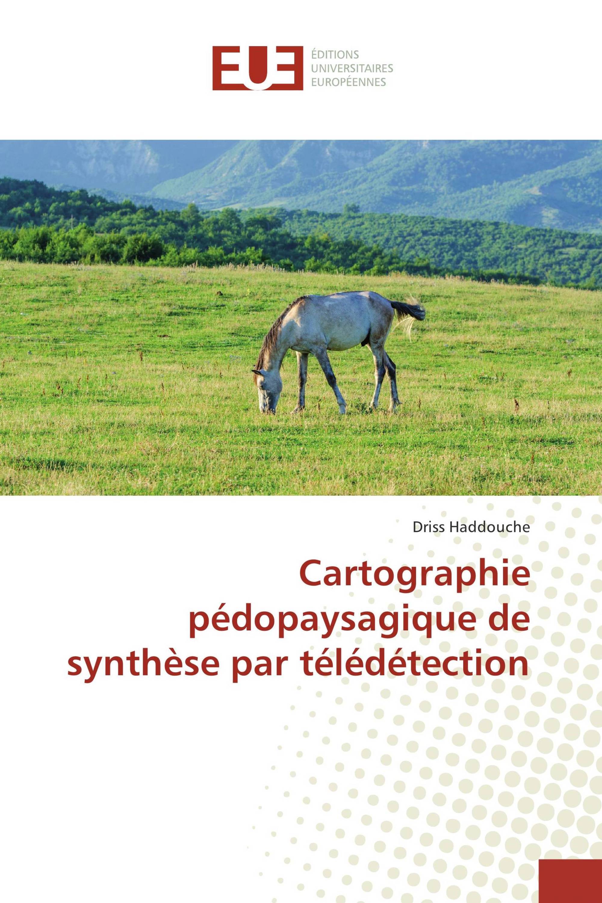 Cartographie pédopaysagique de synthèse par télédétection