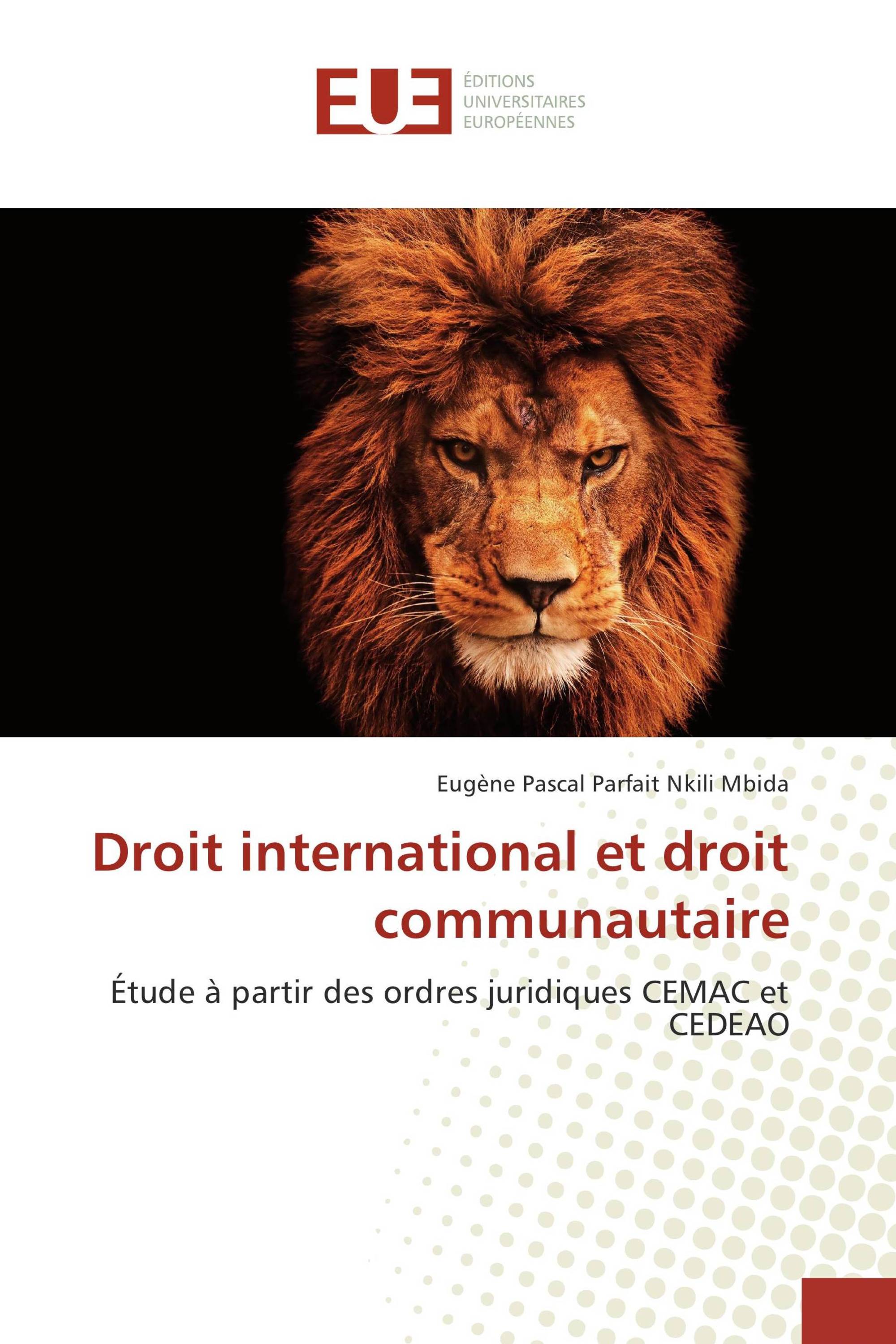 Droit international et droit communautaire