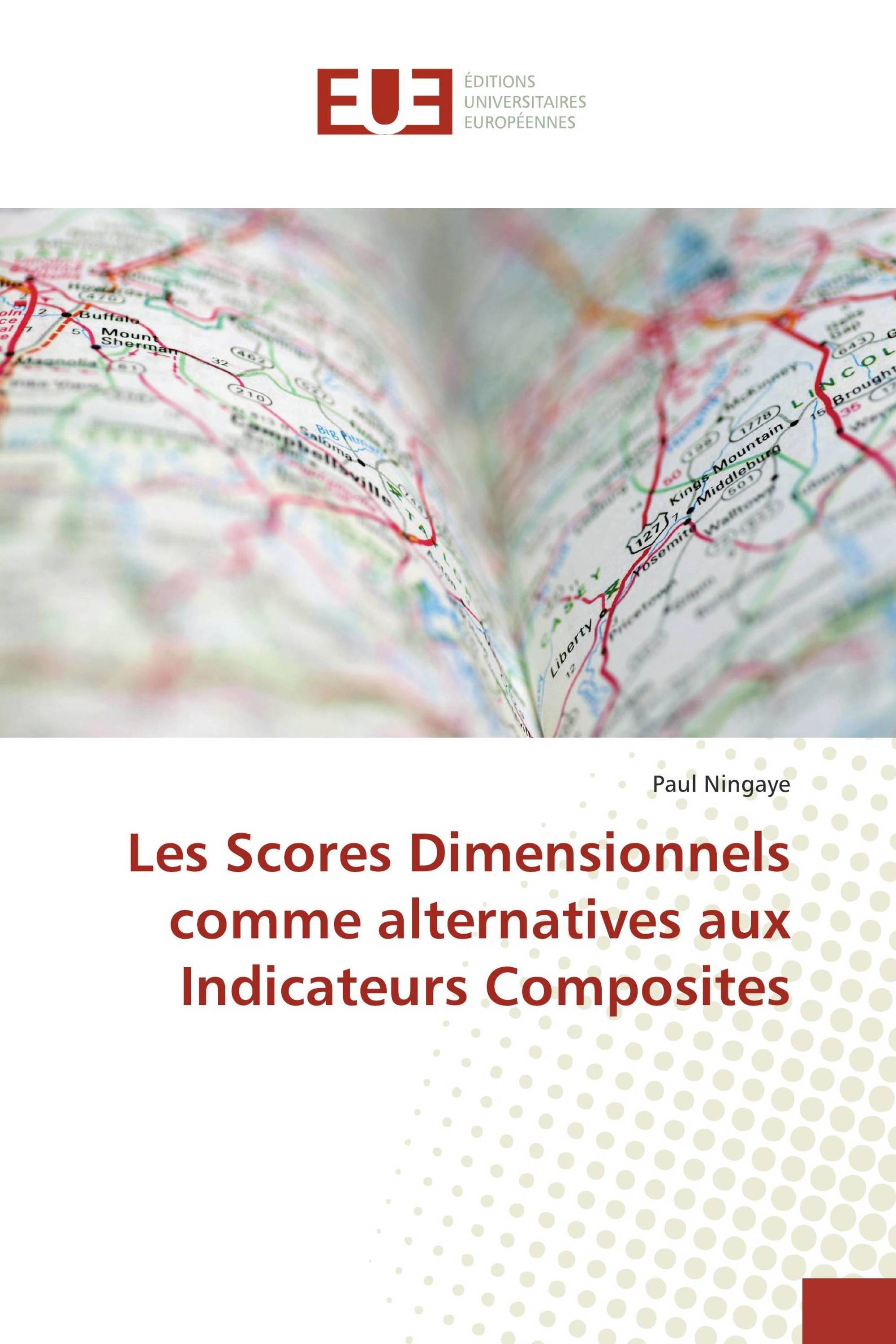 Les Scores Dimensionnels comme alternatives aux Indicateurs Composites