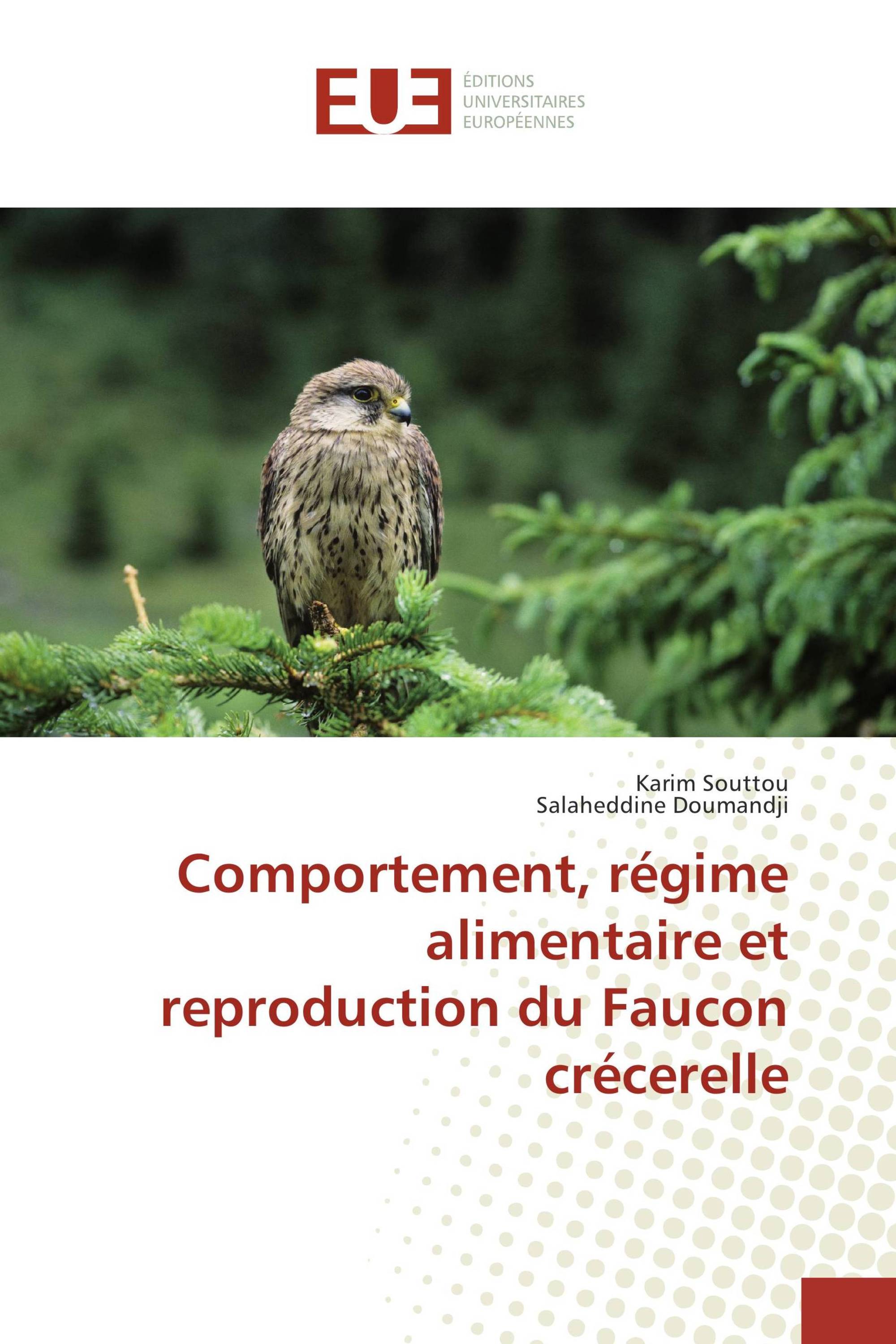 Comportement, régime alimentaire et reproduction du Faucon crécerelle