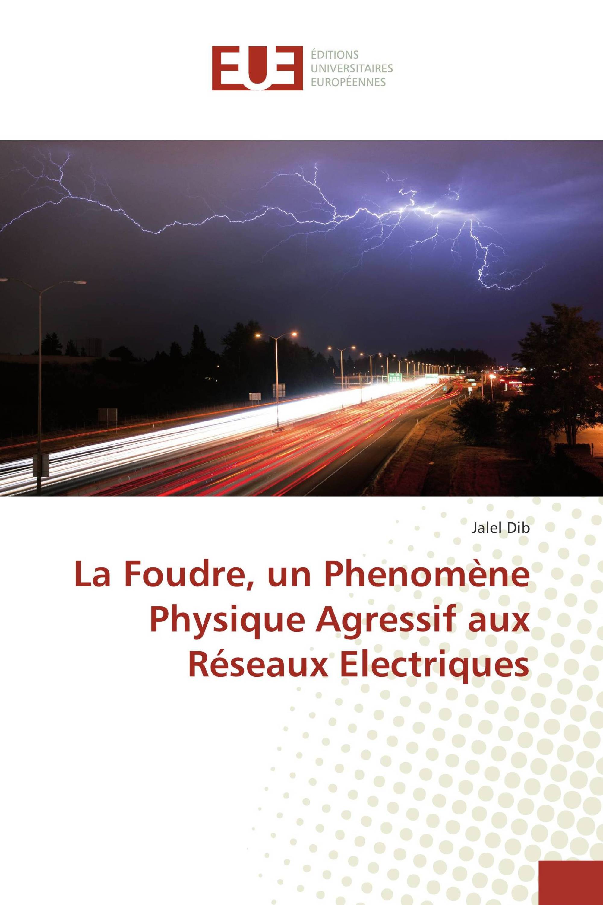 La Foudre, un Phenomène Physique Agressif aux Réseaux Electriques