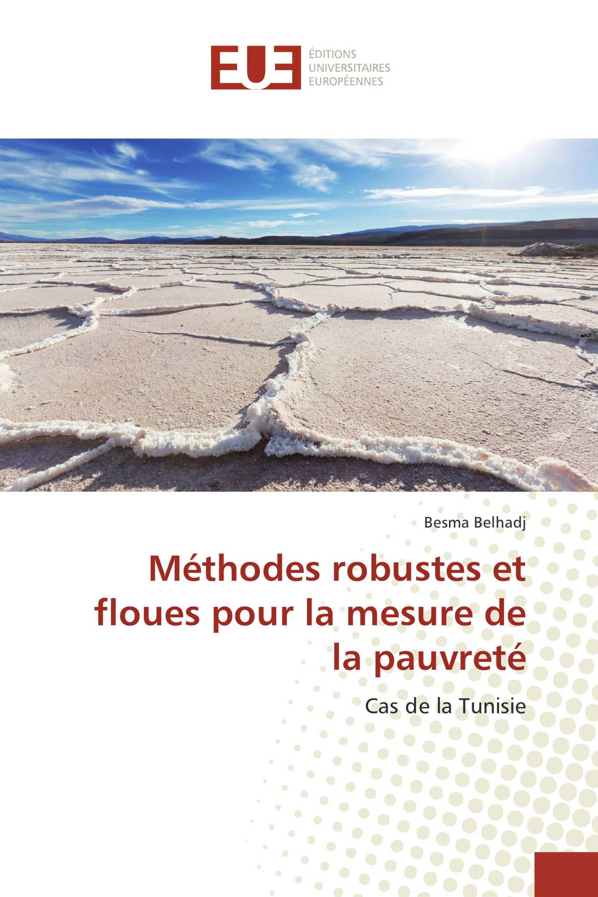 Méthodes robustes et floues pour la mesure de la pauvreté