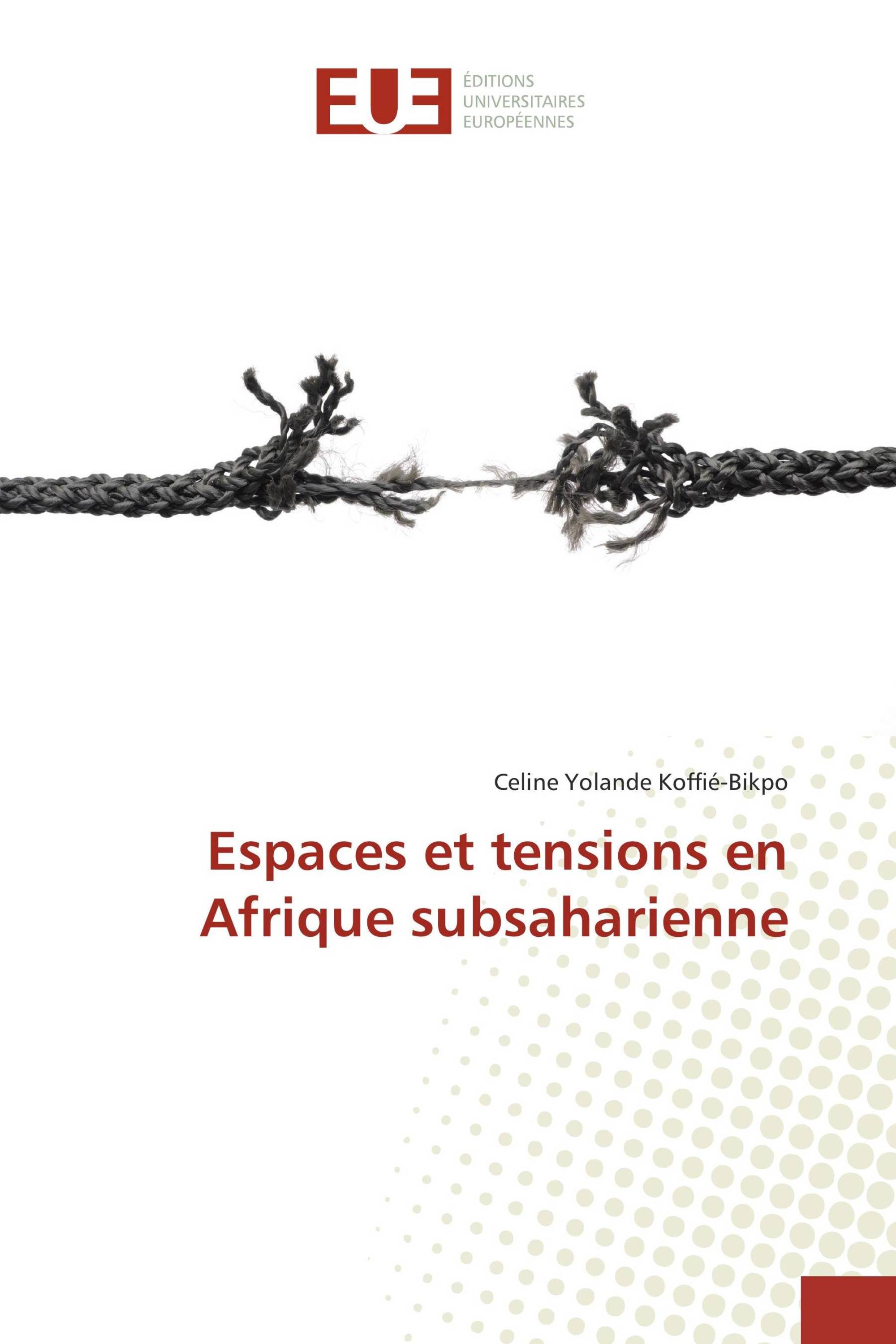 Espaces et tensions en Afrique subsaharienne