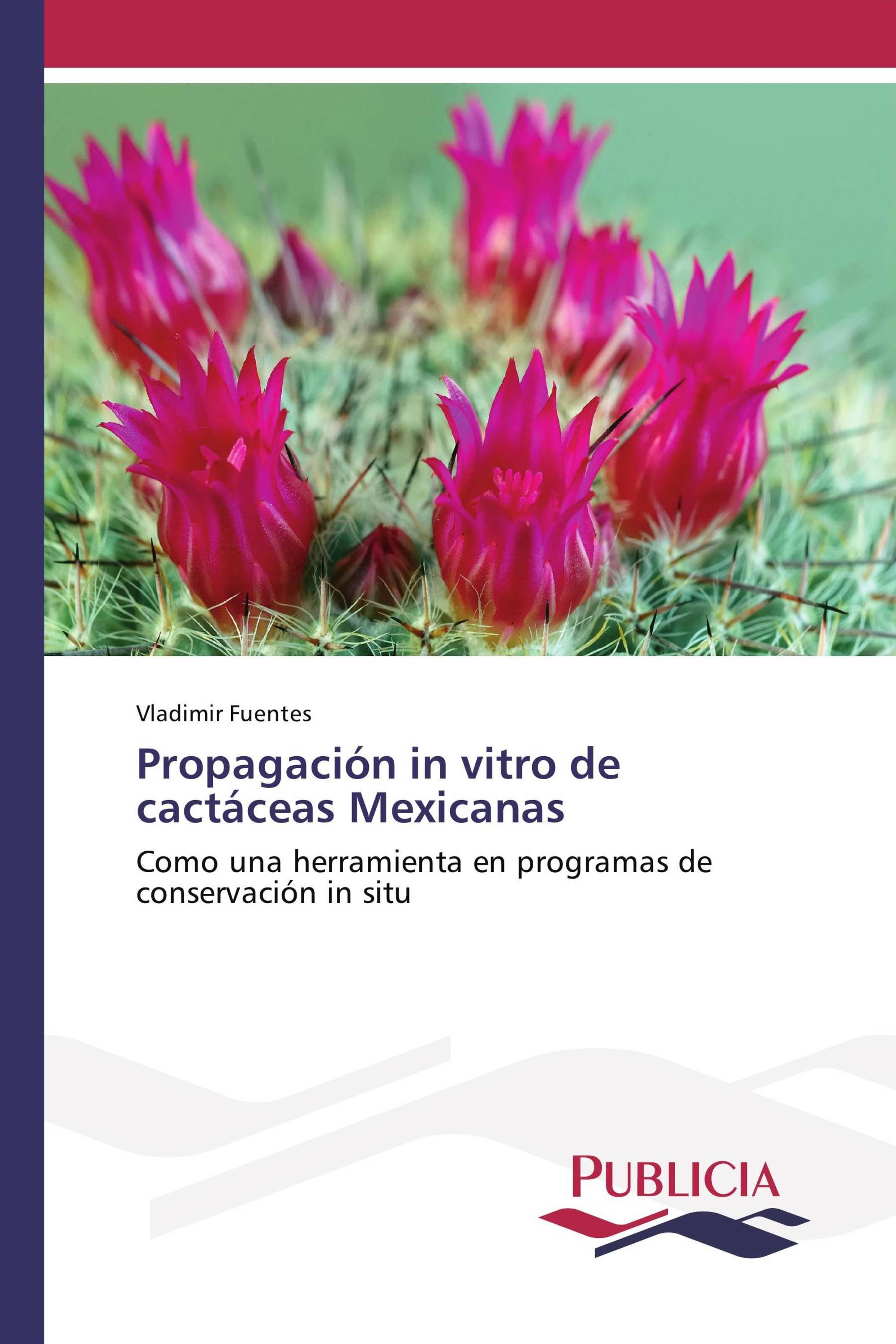 Propagación in vitro de cactáceas Mexicanas