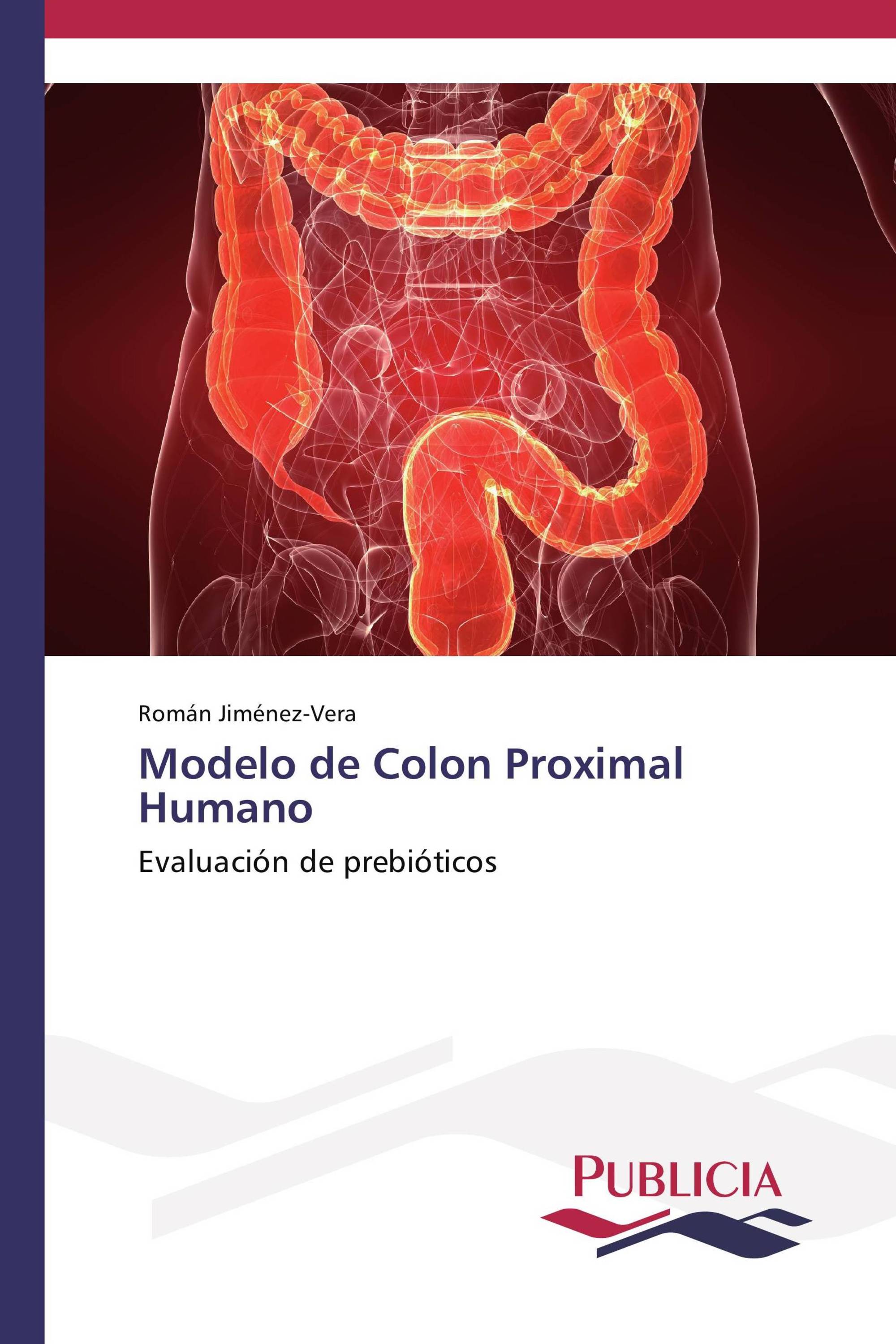 Modelo de Colon Proximal Humano