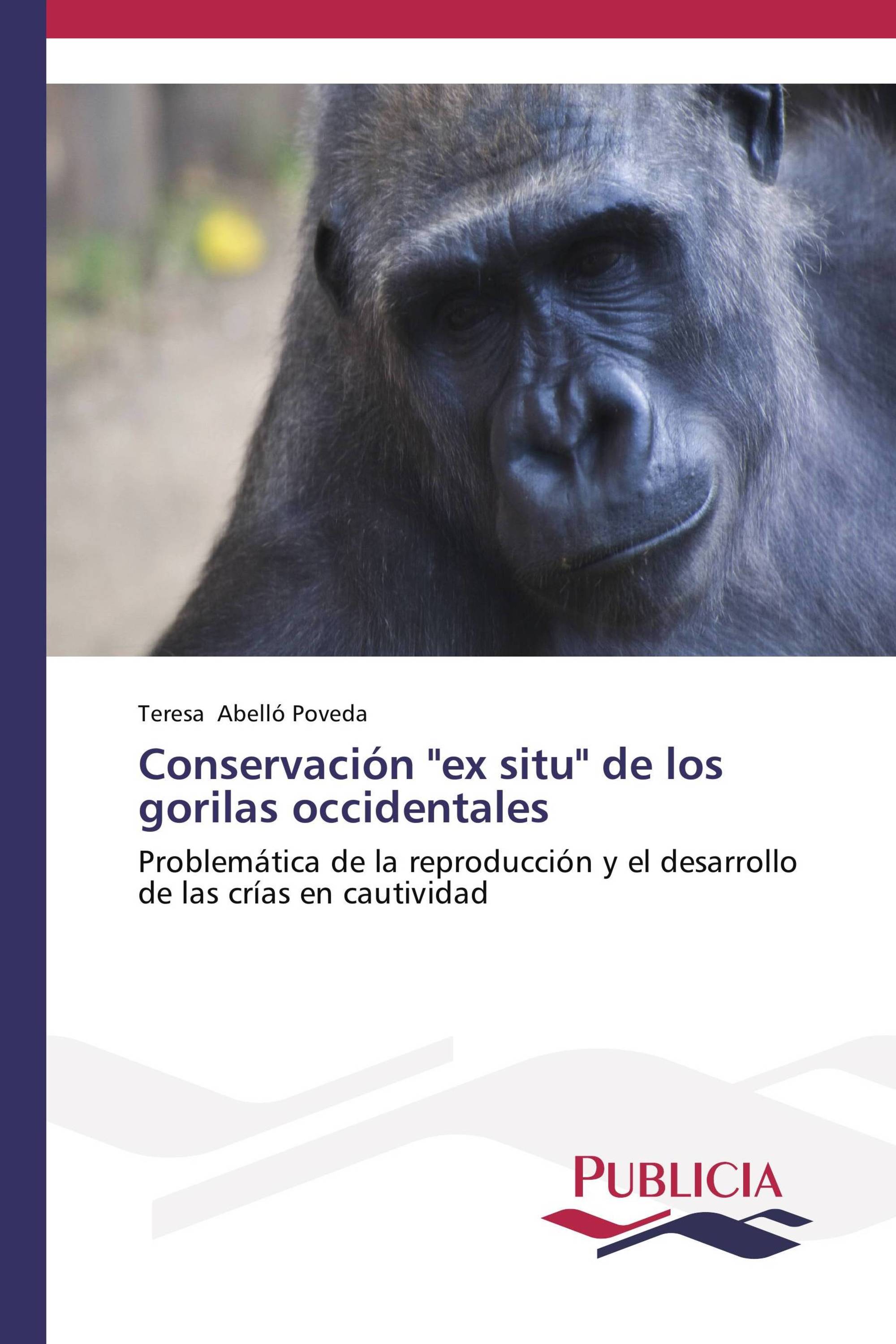 Conservación "ex situ" de los gorilas occidentales