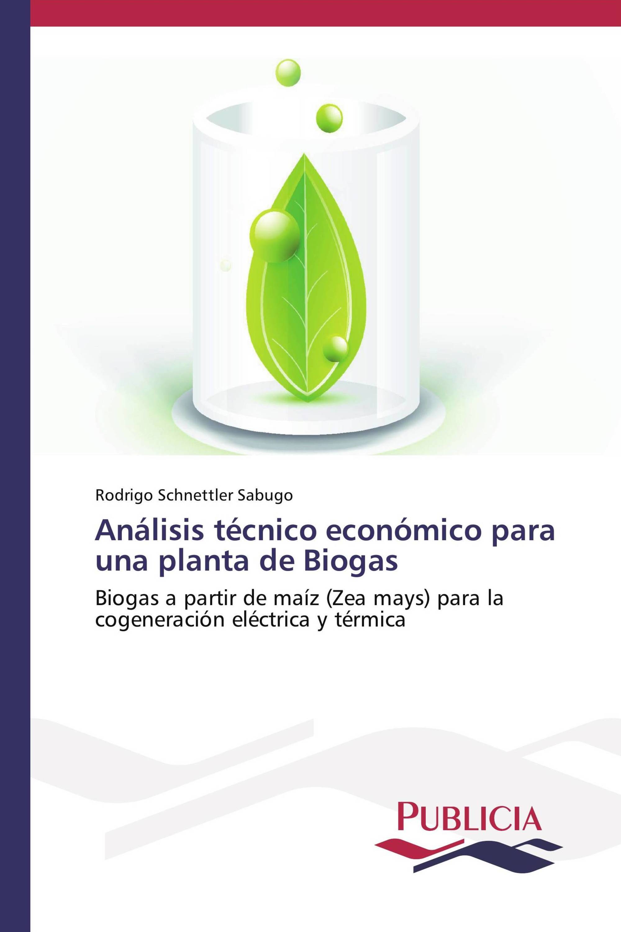 Análisis técnico económico para una planta de Biogas