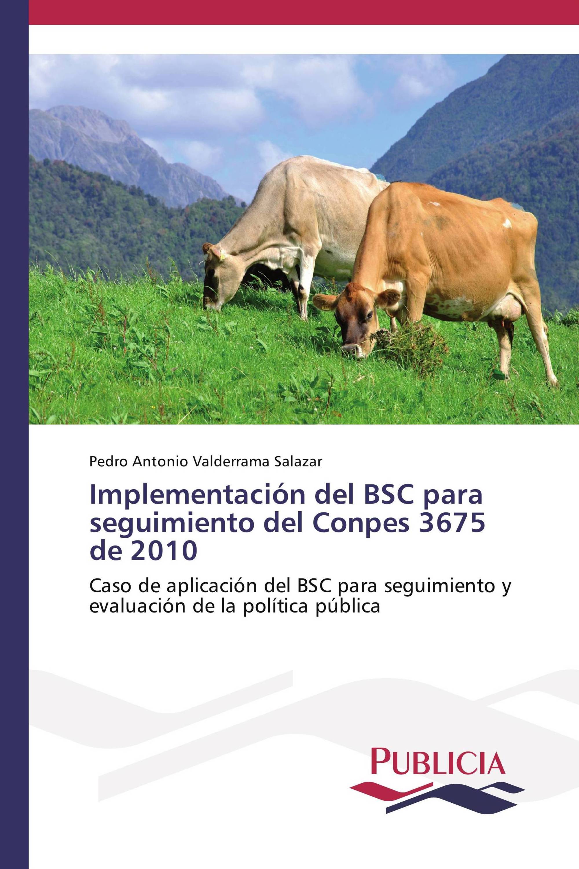 Implementación del BSC para seguimiento del Conpes 3675 de 2010