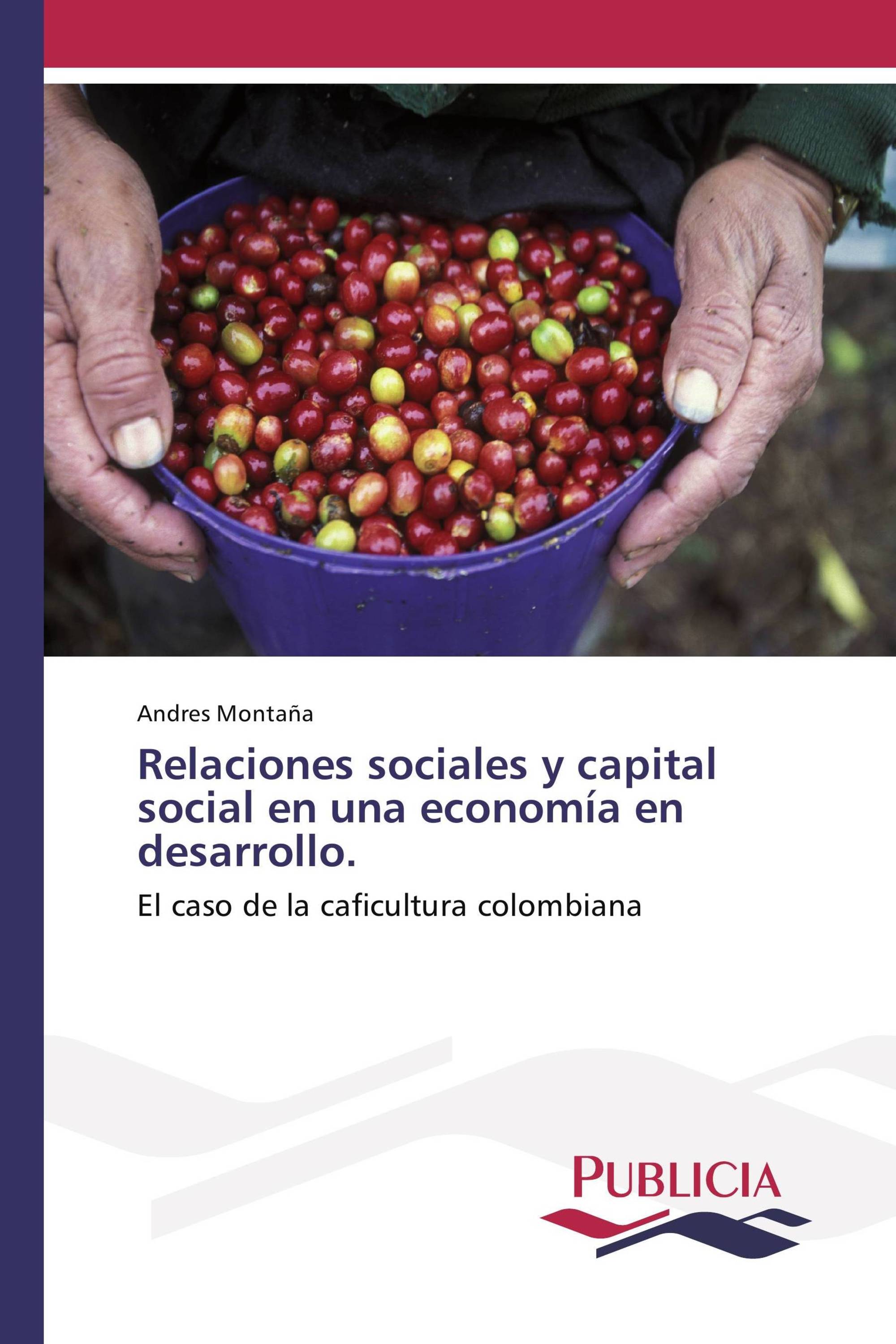 Relaciones sociales y capital social en una economía en desarrollo.