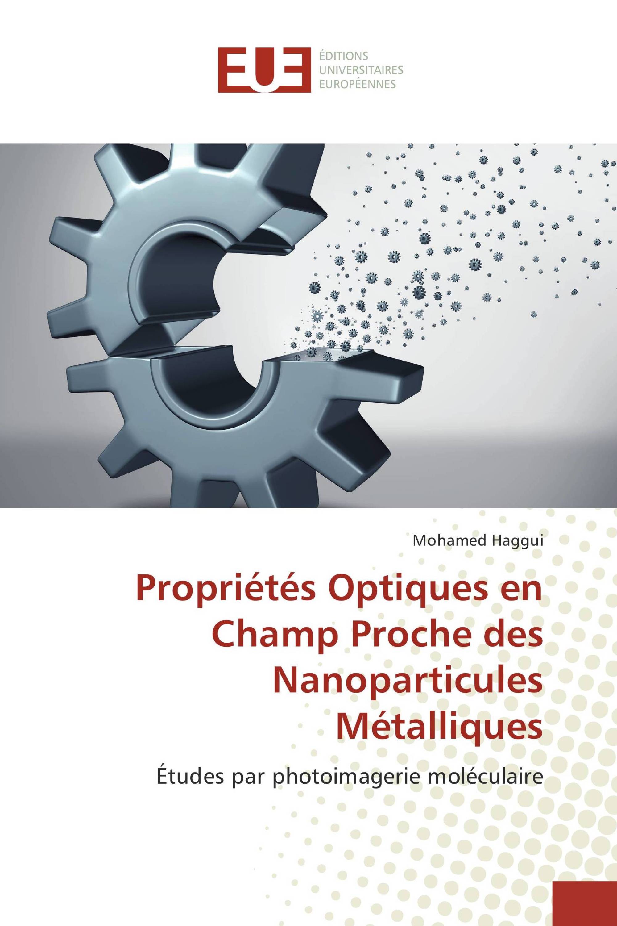 Propriétés Optiques en Champ Proche des Nanoparticules Métalliques