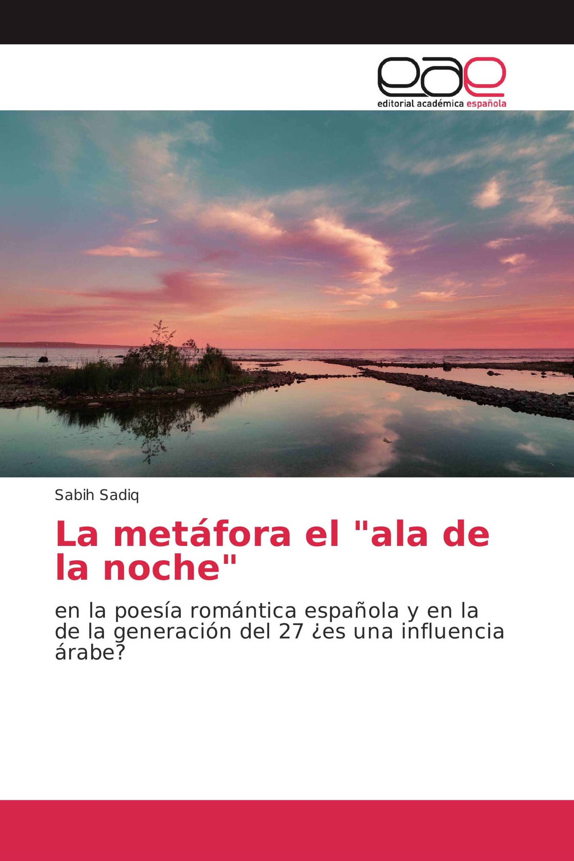 La metáfora el "ala de la noche"