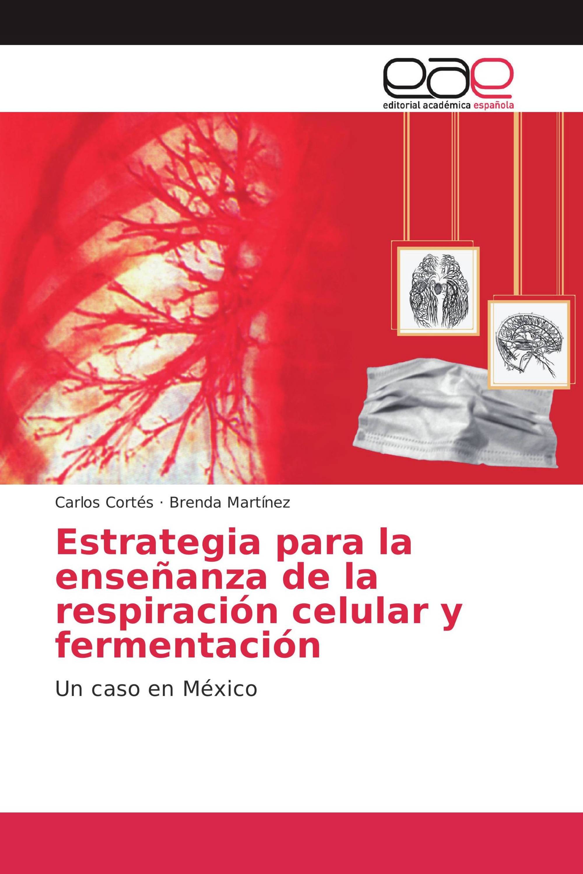 Estrategia para la enseñanza de la respiración celular y fermentación