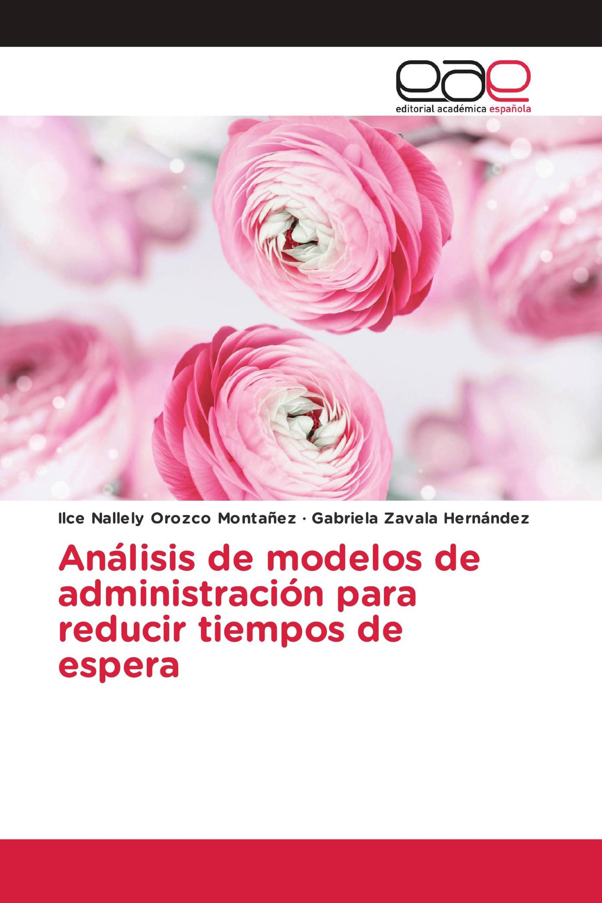 Análisis de modelos de administración para reducir tiempos de espera