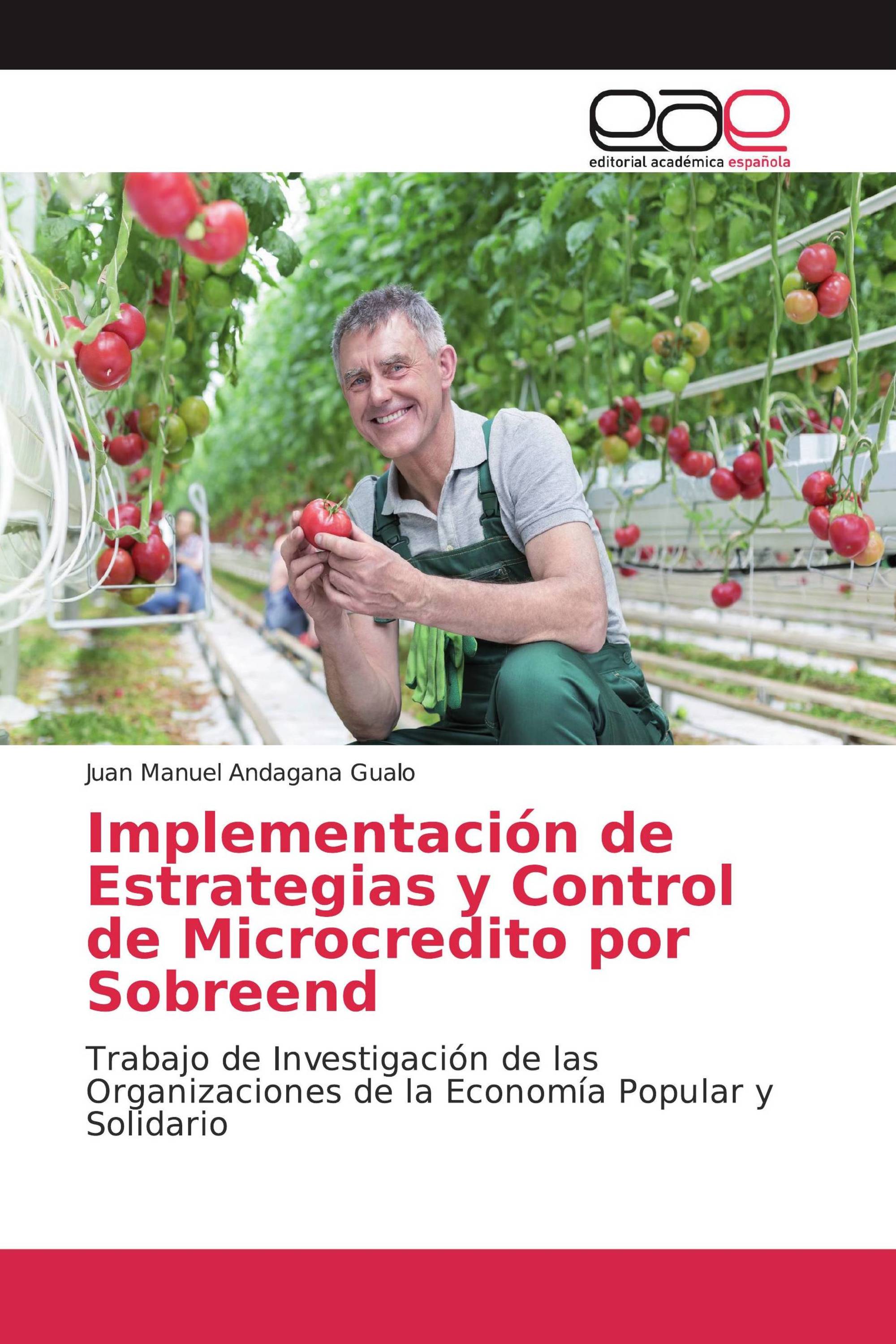 Implementación de Estrategias y Control de Microcredito por Sobreend