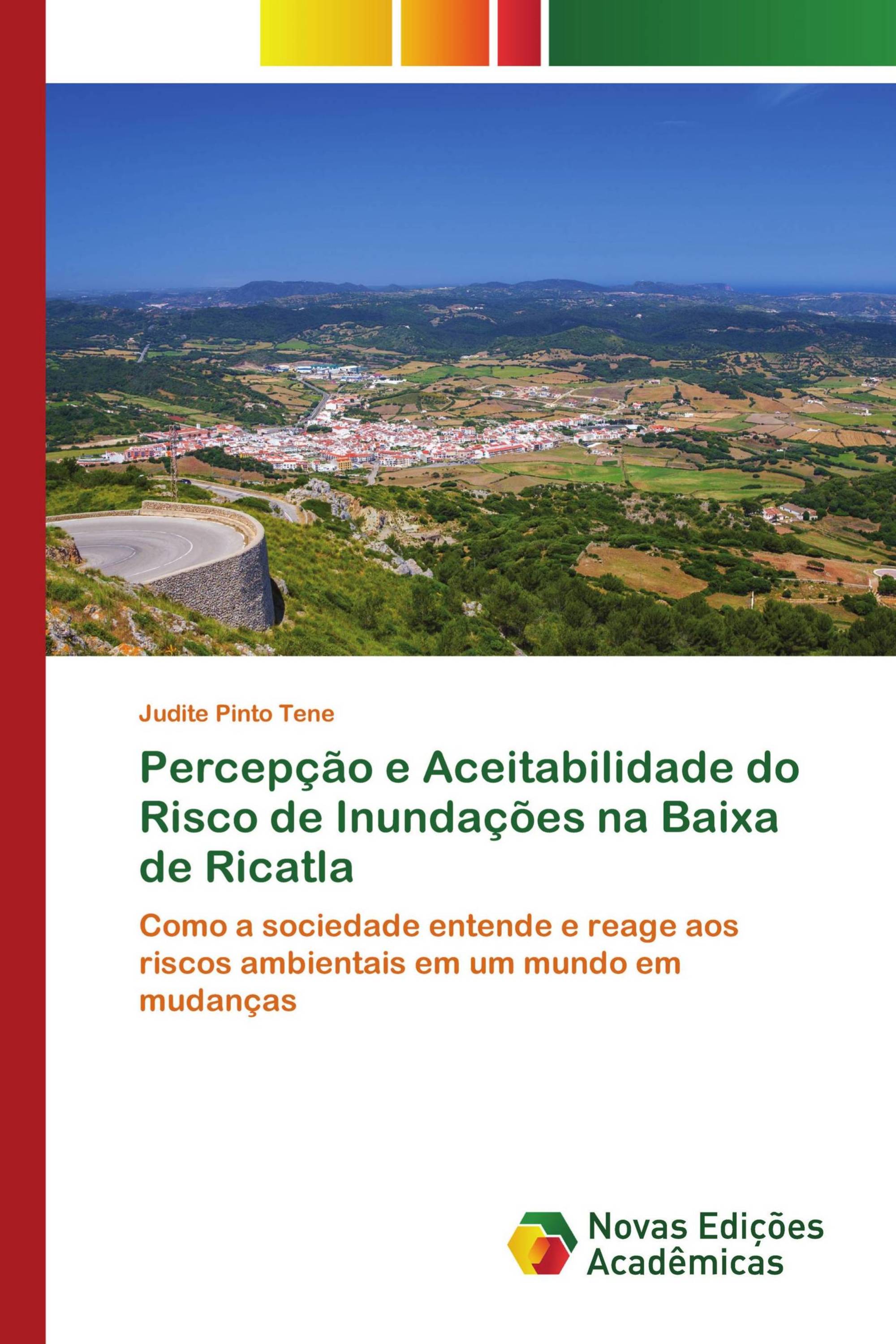 Percepção e Aceitabilidade do Risco de Inundações na Baixa de Ricatla