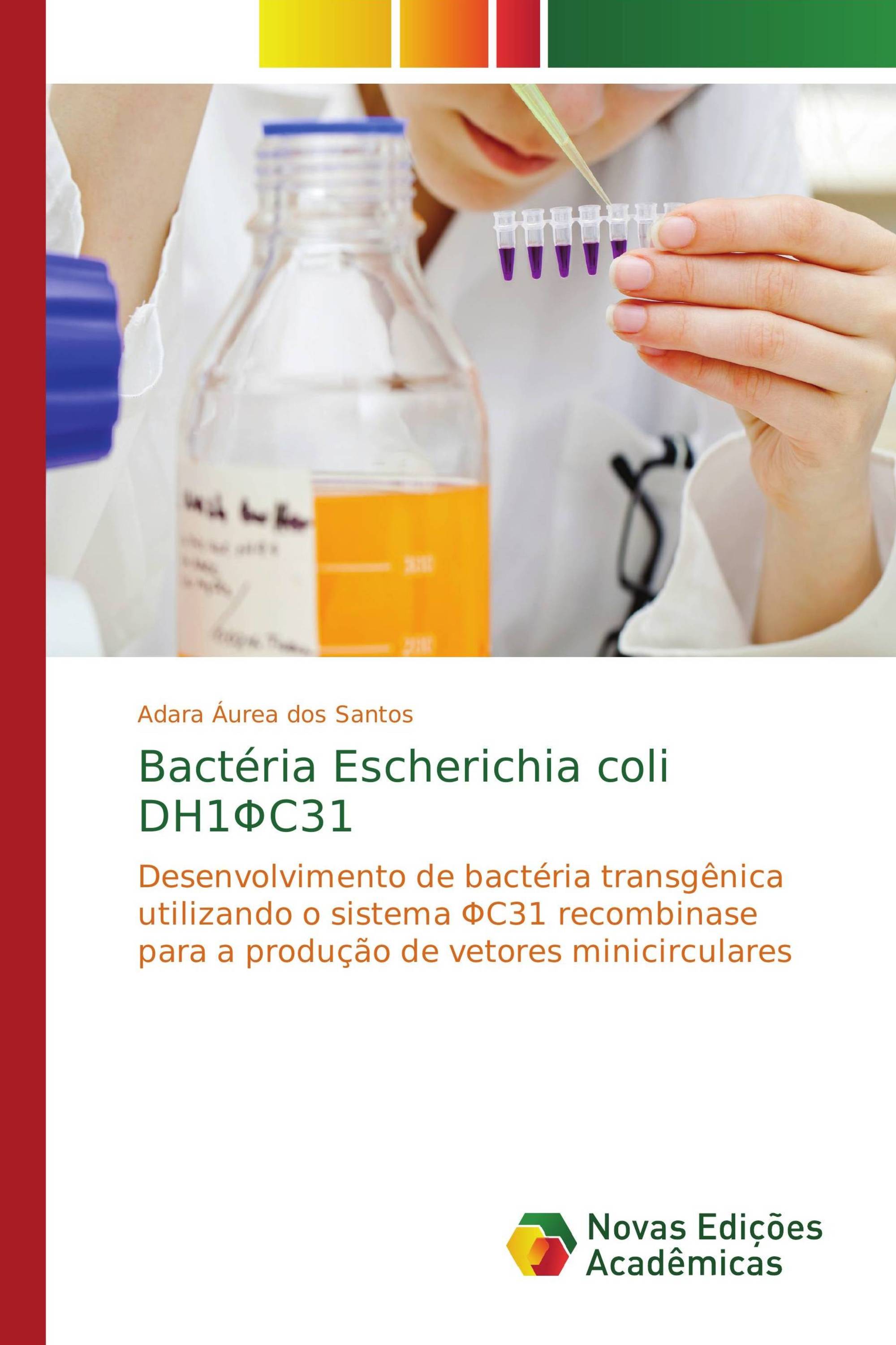 Bactéria Escherichia coli DH1ΦC31