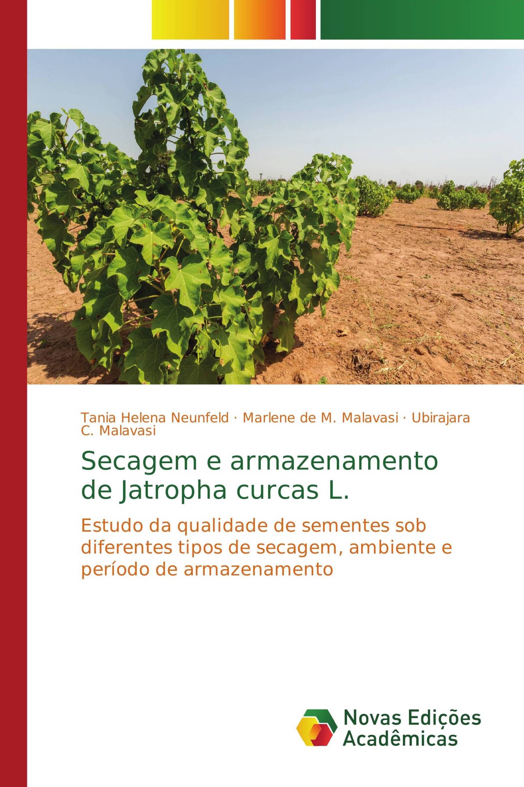 Secagem e armazenamento de Jatropha curcas L.