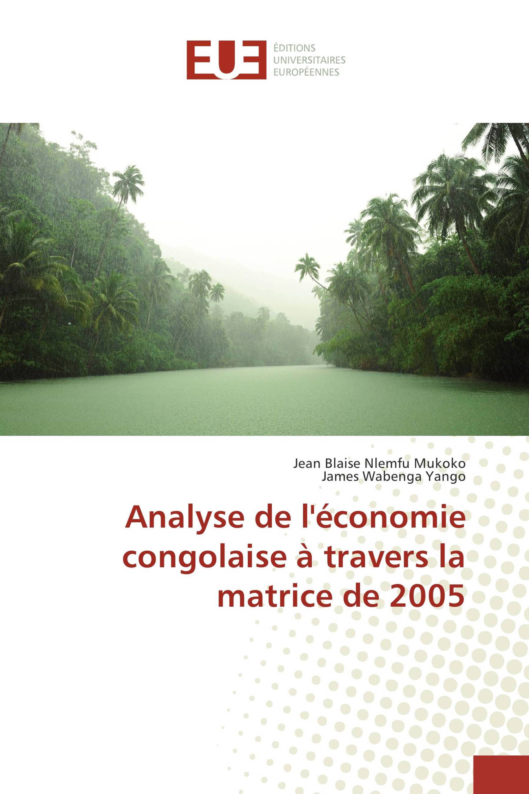 Analyse de l'économie congolaise à travers la matrice de 2005