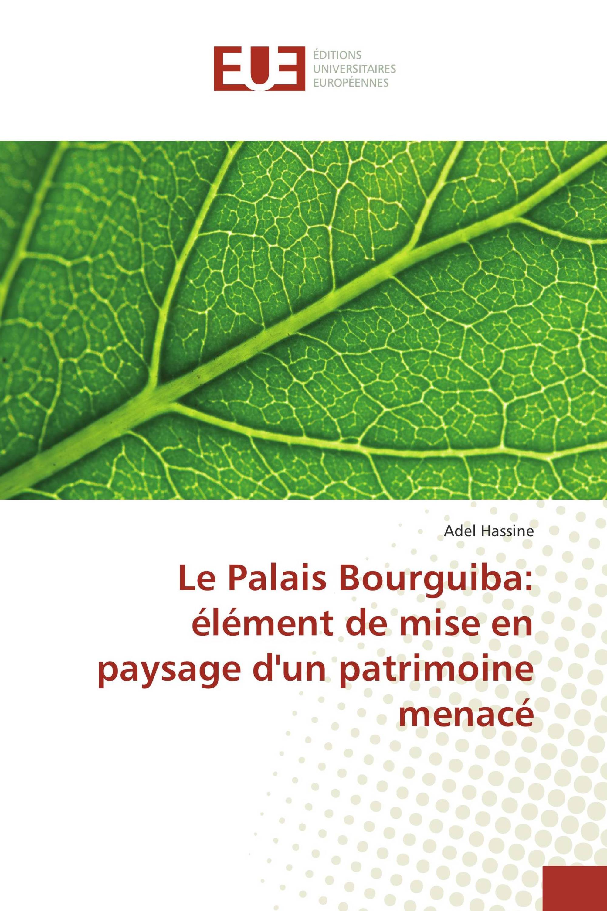 Le Palais Bourguiba: élément de mise en paysage d'un patrimoine menacé