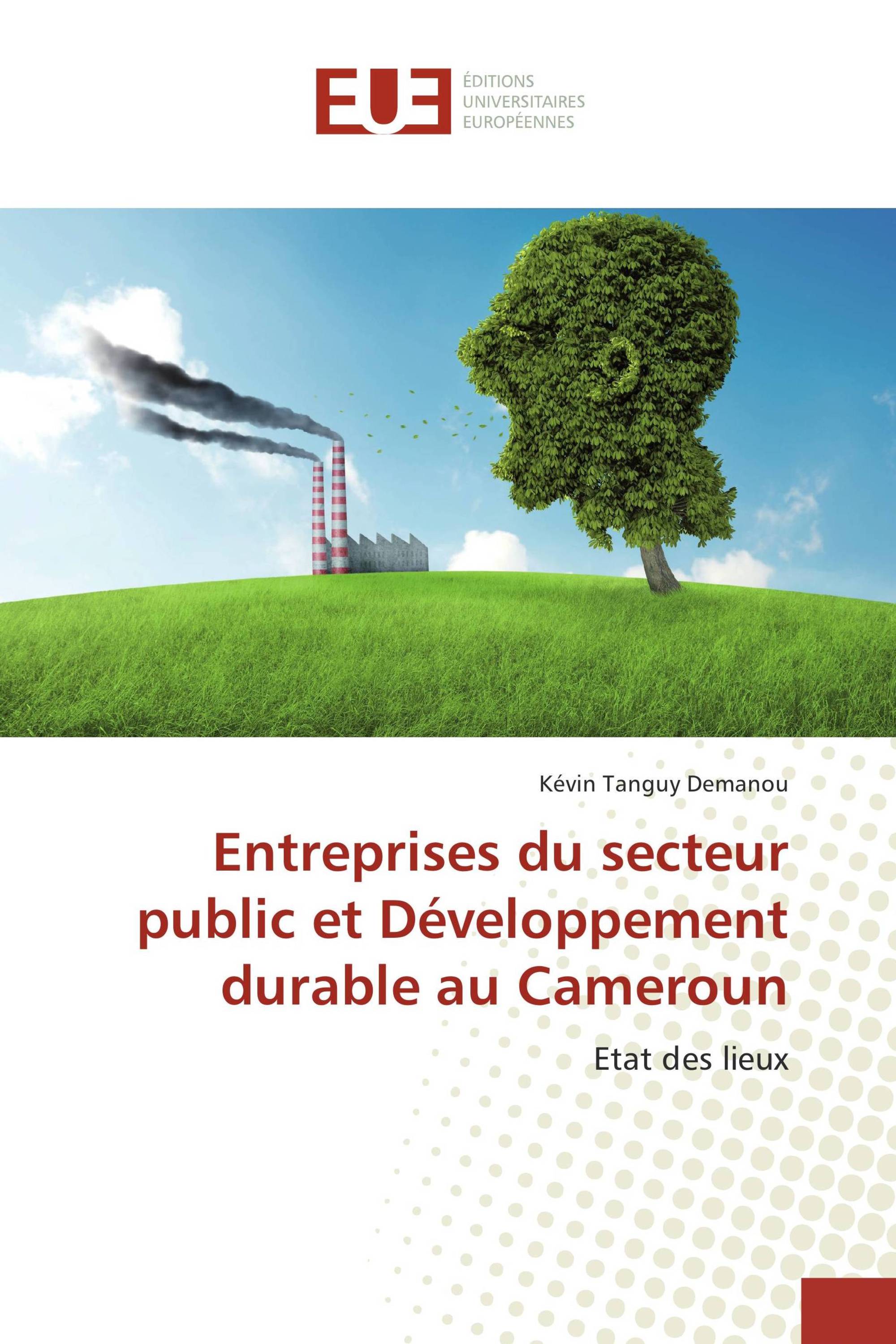 Entreprises du secteur public et Développement durable au Cameroun