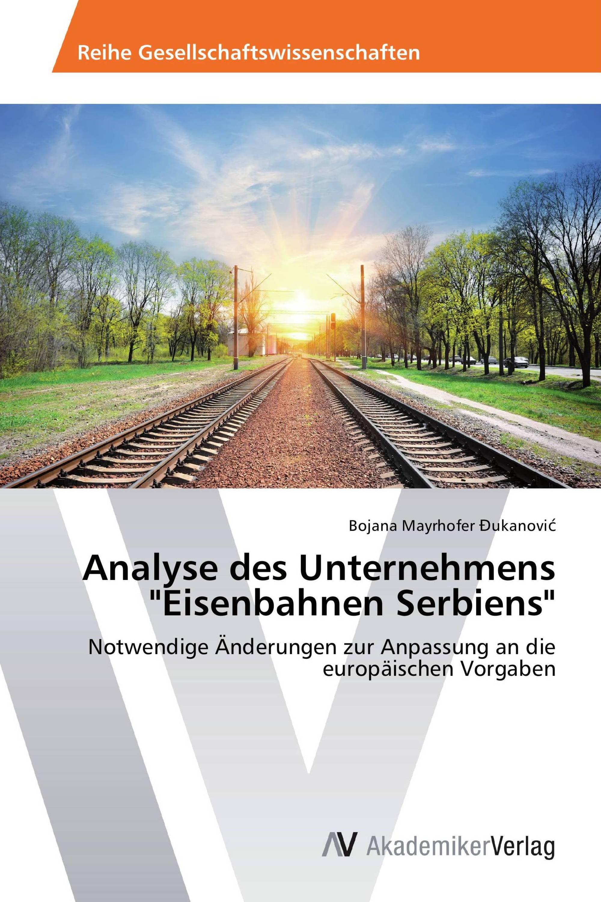 Analyse des Unternehmens "Eisenbahnen Serbiens"