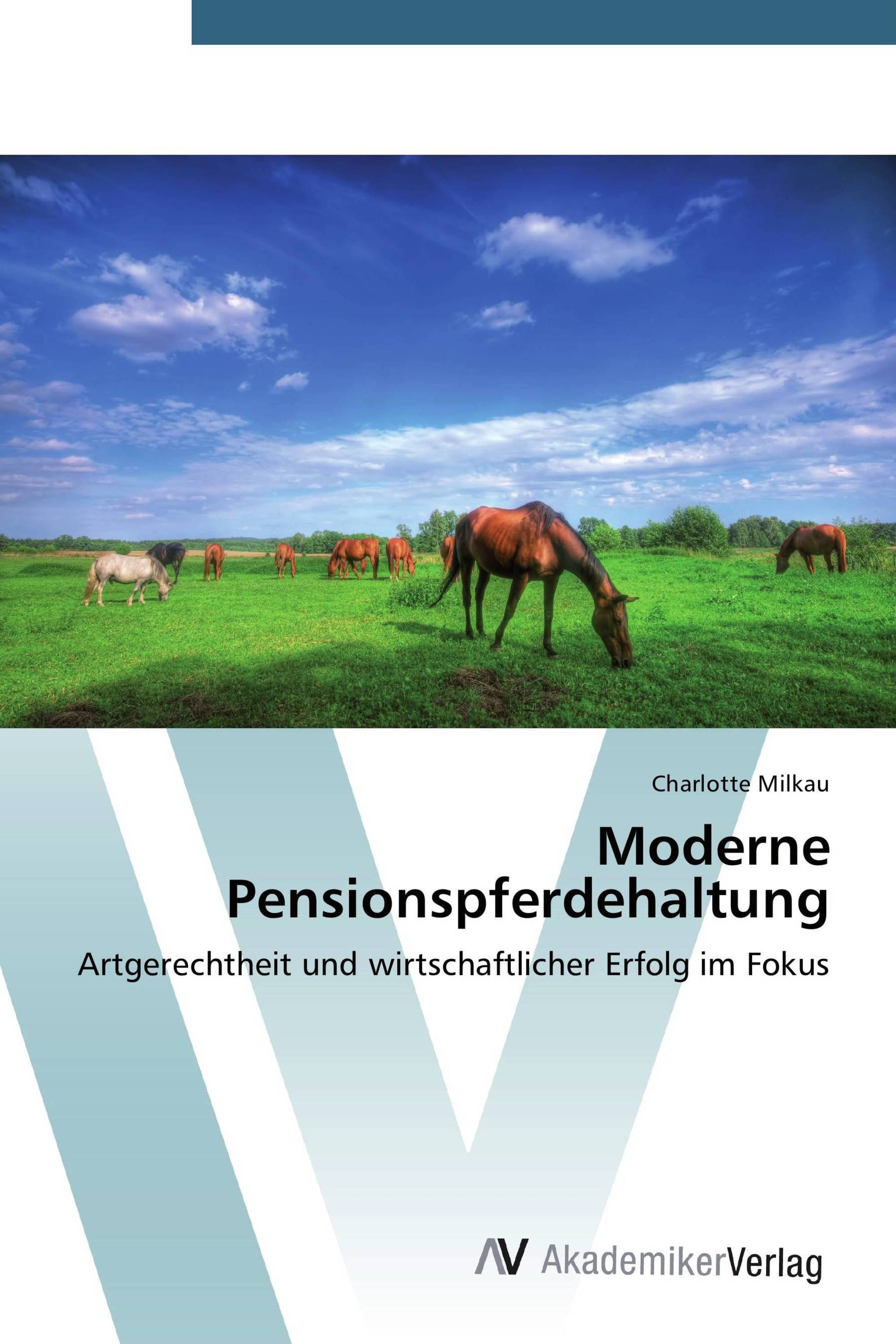 Moderne Pensionspferdehaltung