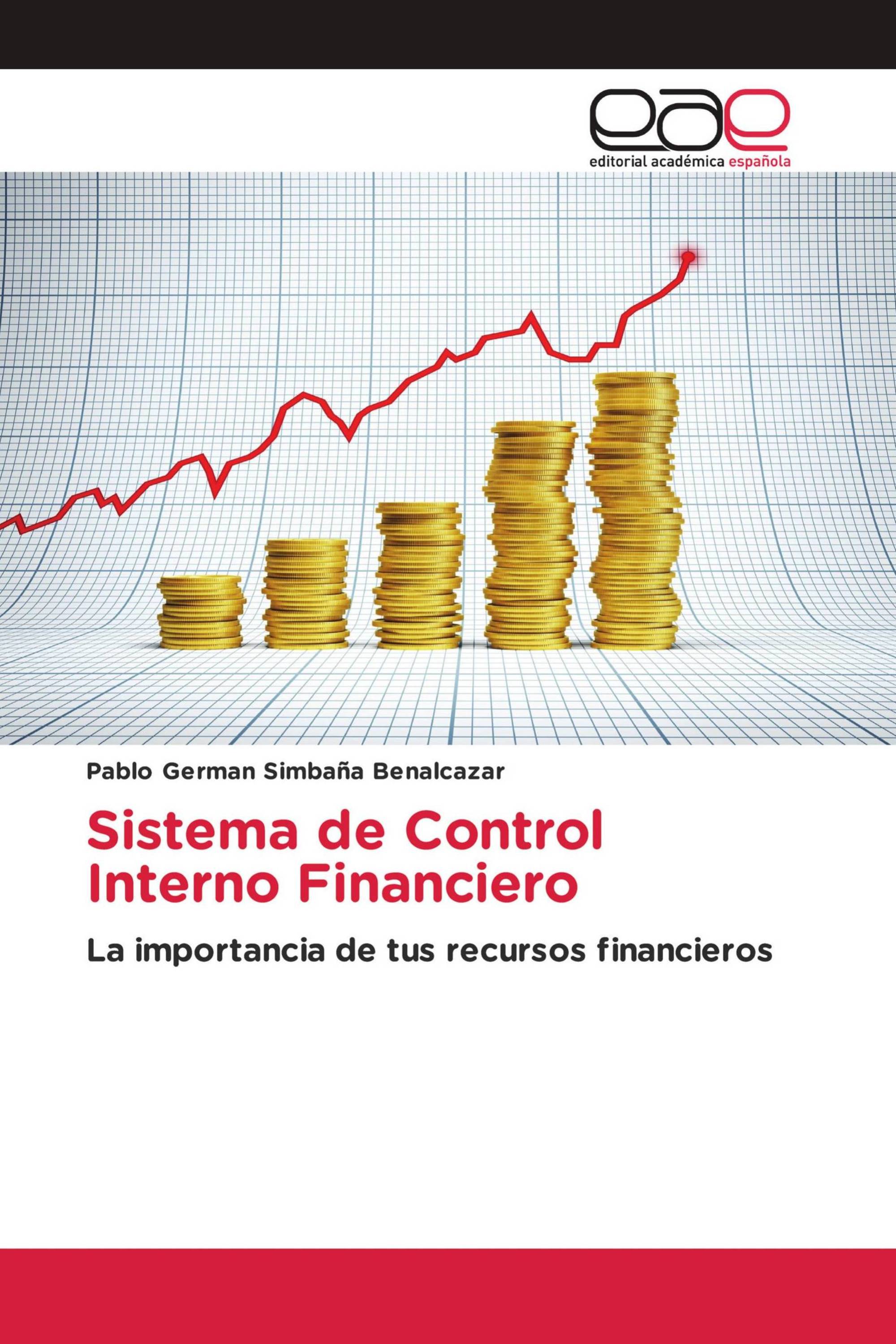 Sistema de Control Interno Financiero