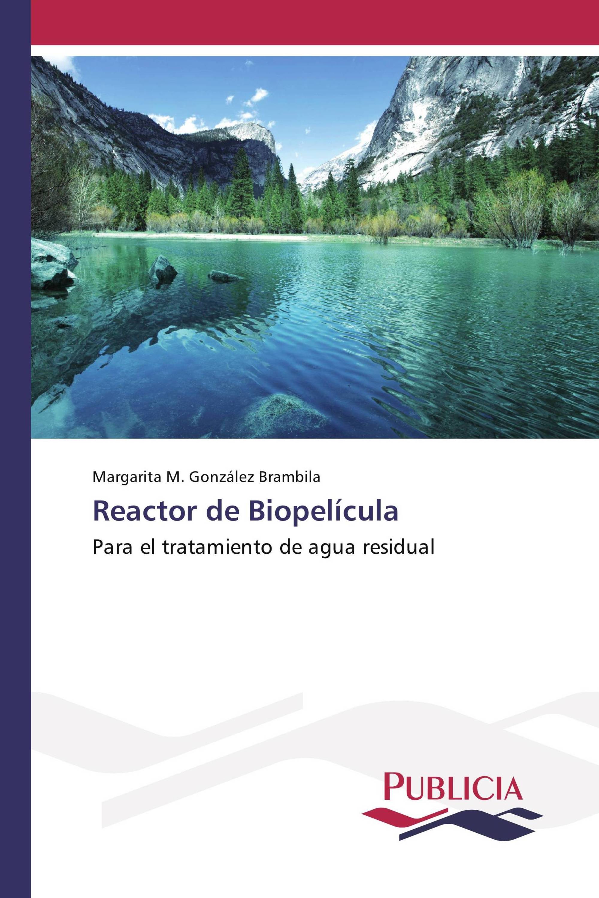 Reactor de Biopelícula