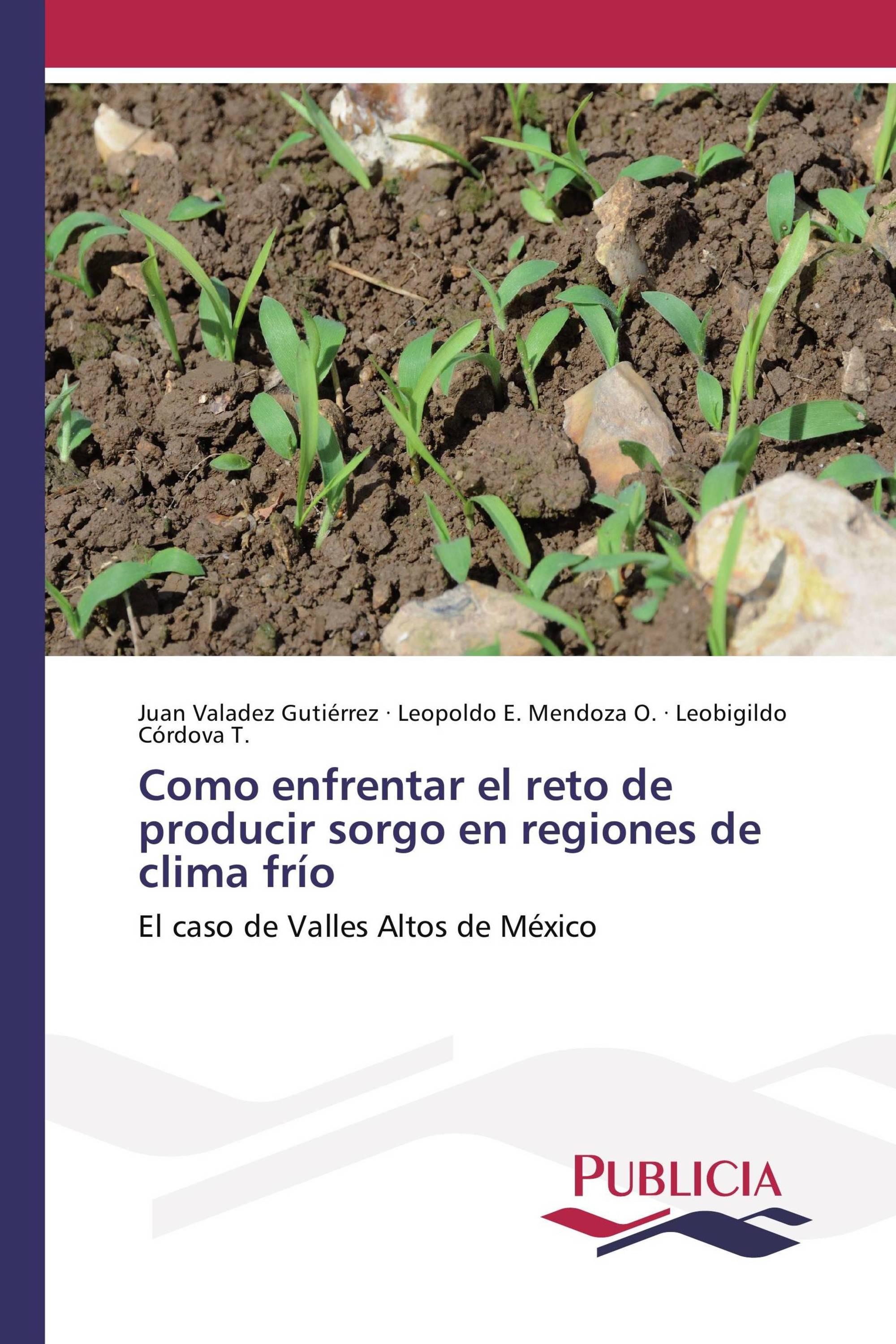 Como enfrentar el reto de producir sorgo en regiones de clima frío