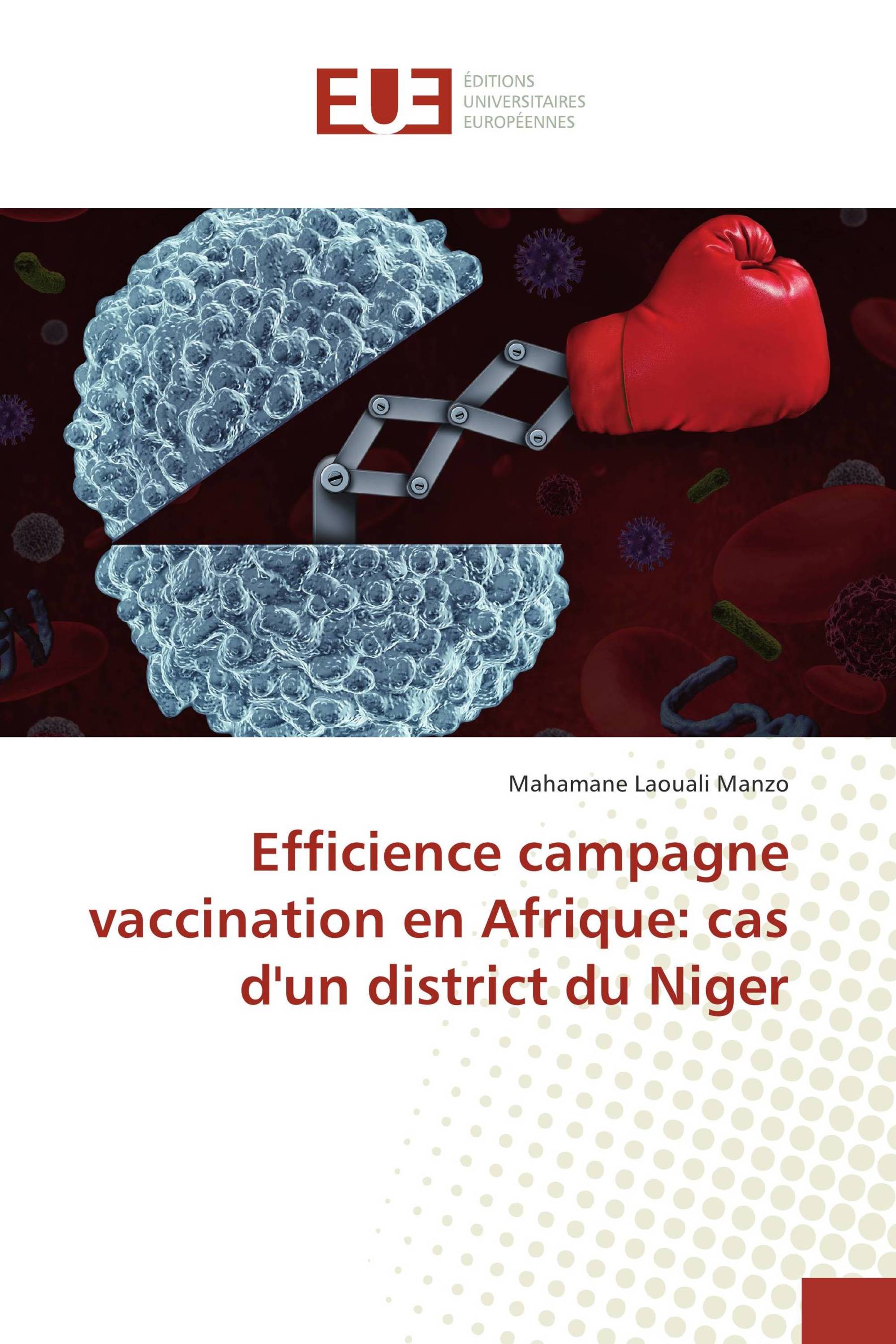 Efficience campagne vaccination en Afrique: cas d'un district du Niger