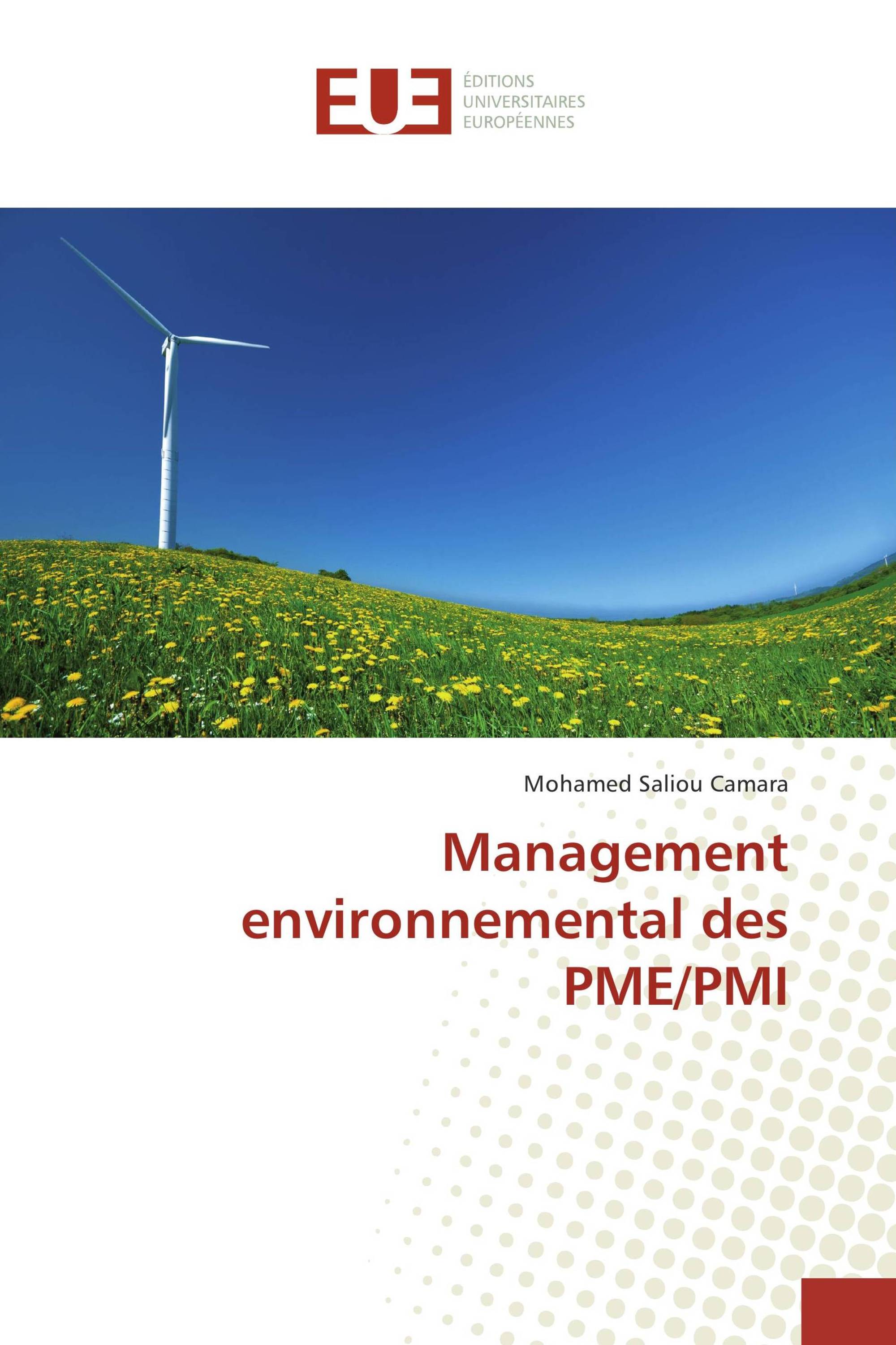 Management environnemental des PME/PMI